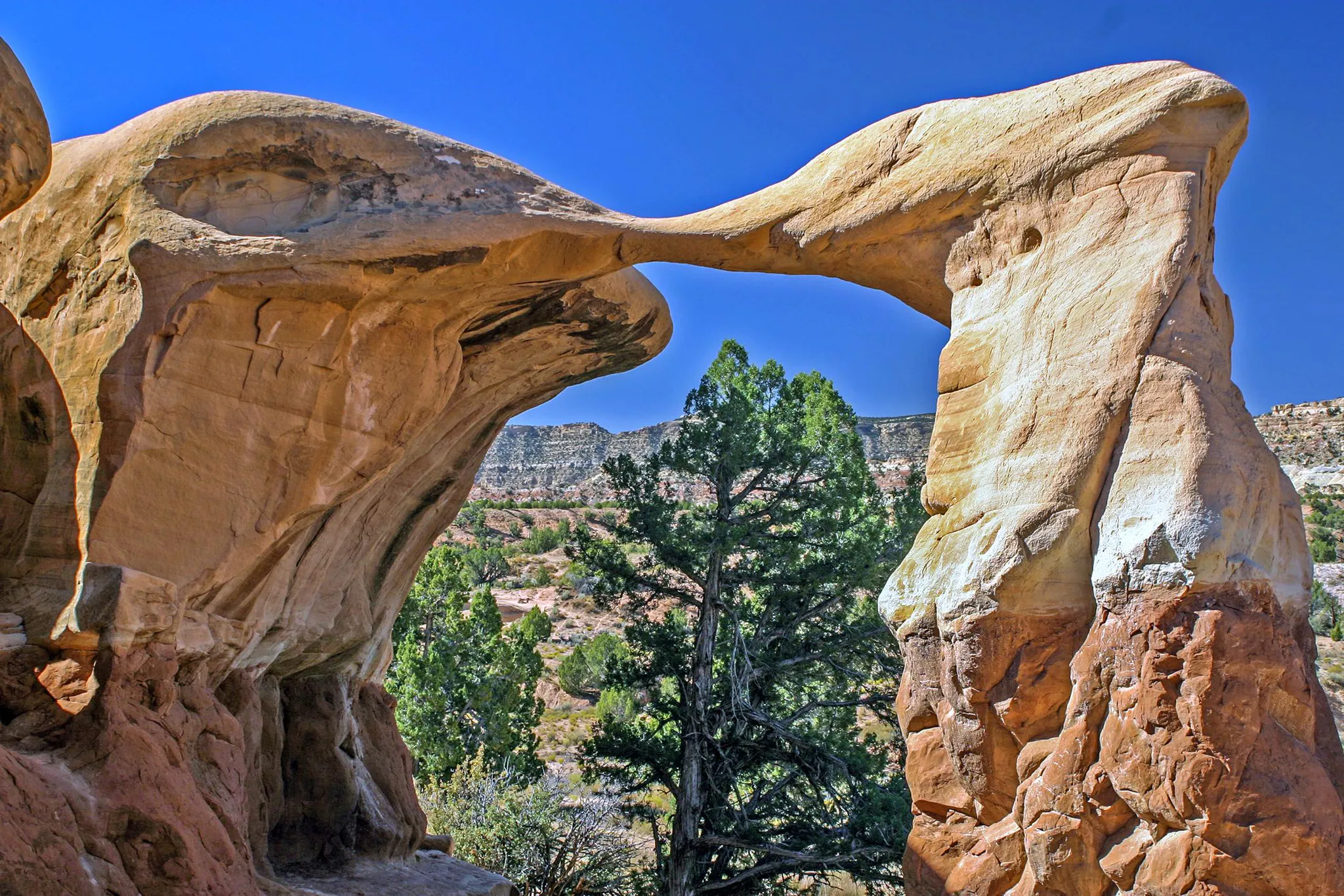 Metate Arch, Devils Garden, Grand Staircase Escalante
