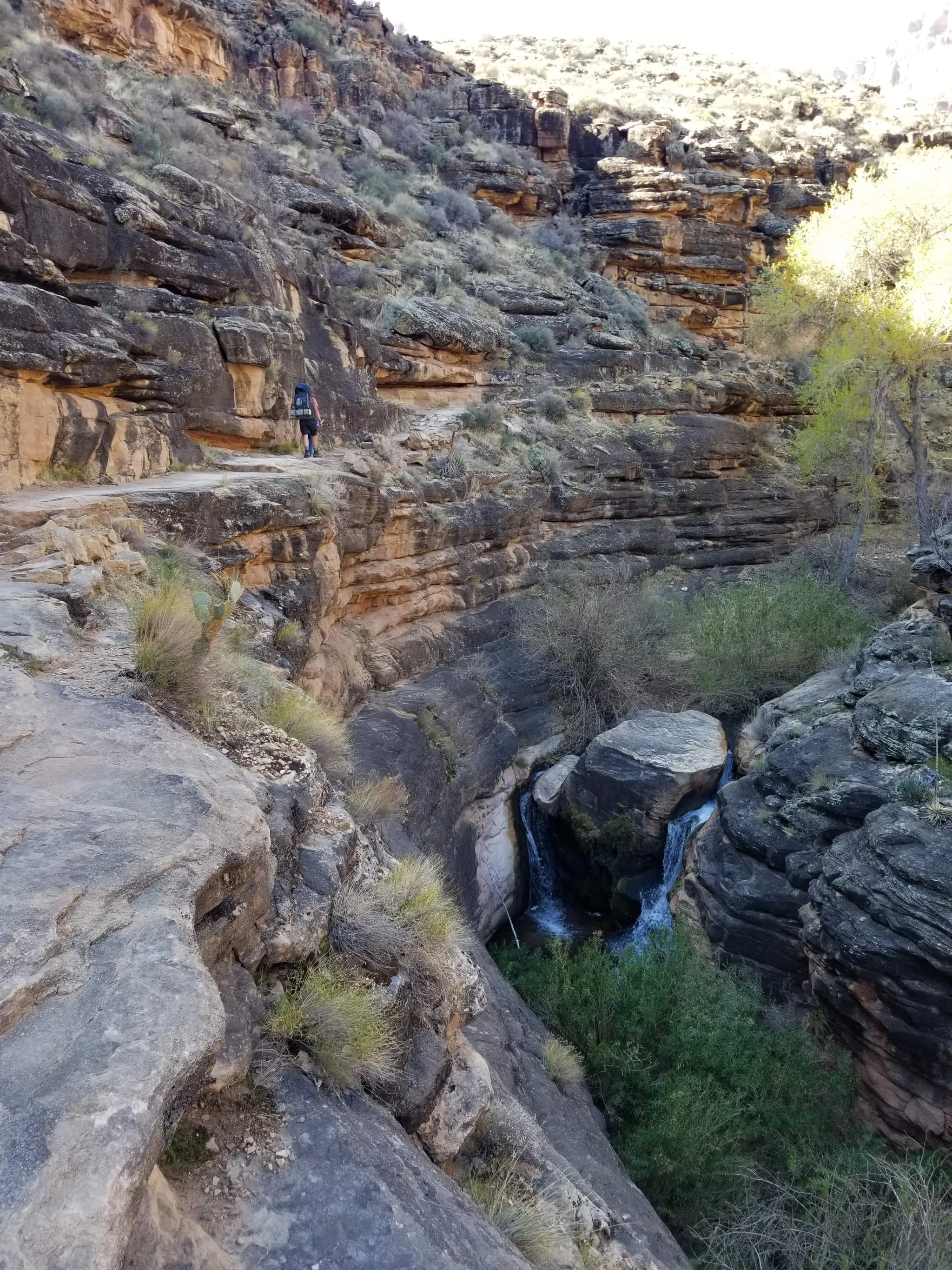 Backpacking_Grand Canyon