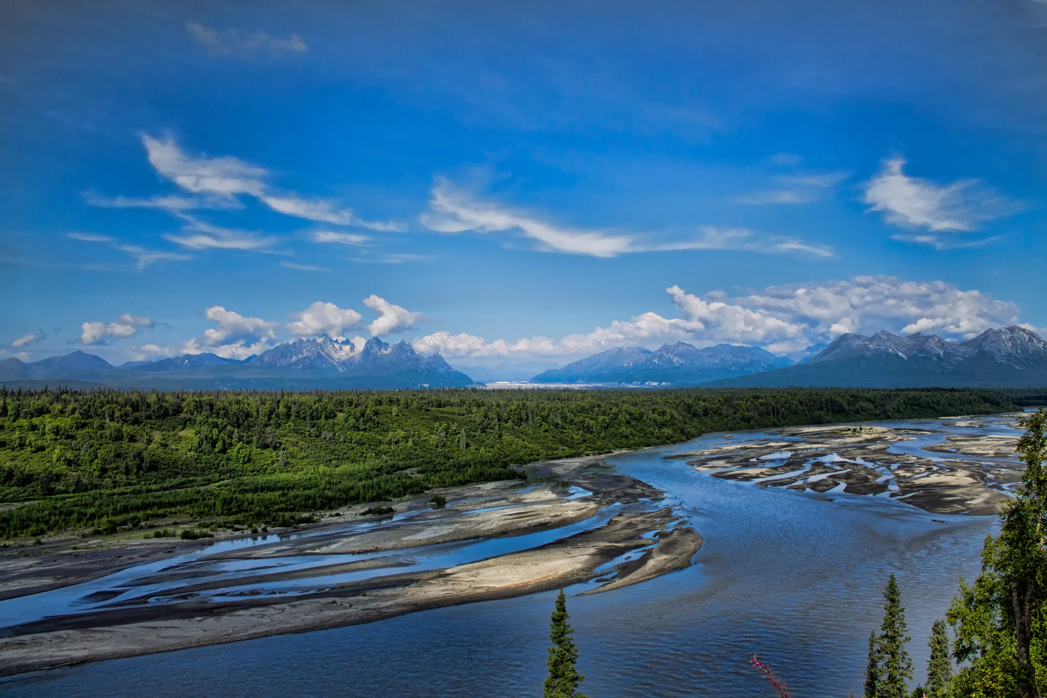 Alaska Denali View
