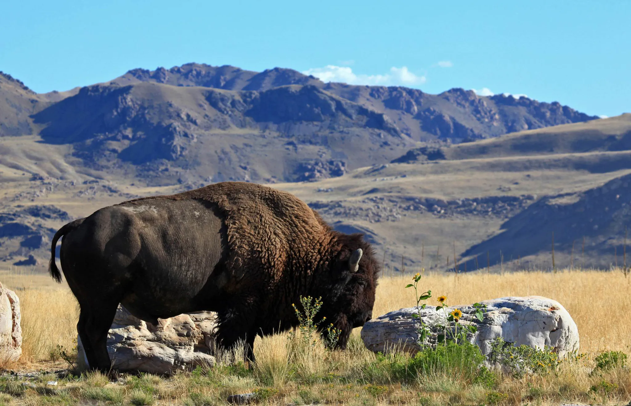 Great Salt Lake and Antelope Island