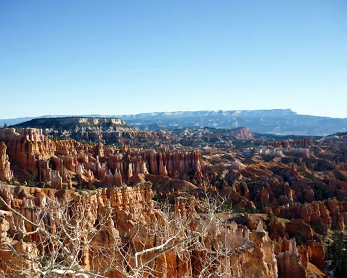 View Of Bryce Canyon From A Hill Top