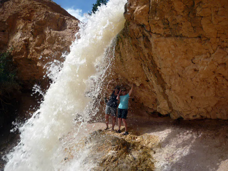 Bryce Canyon 1 Day Tour