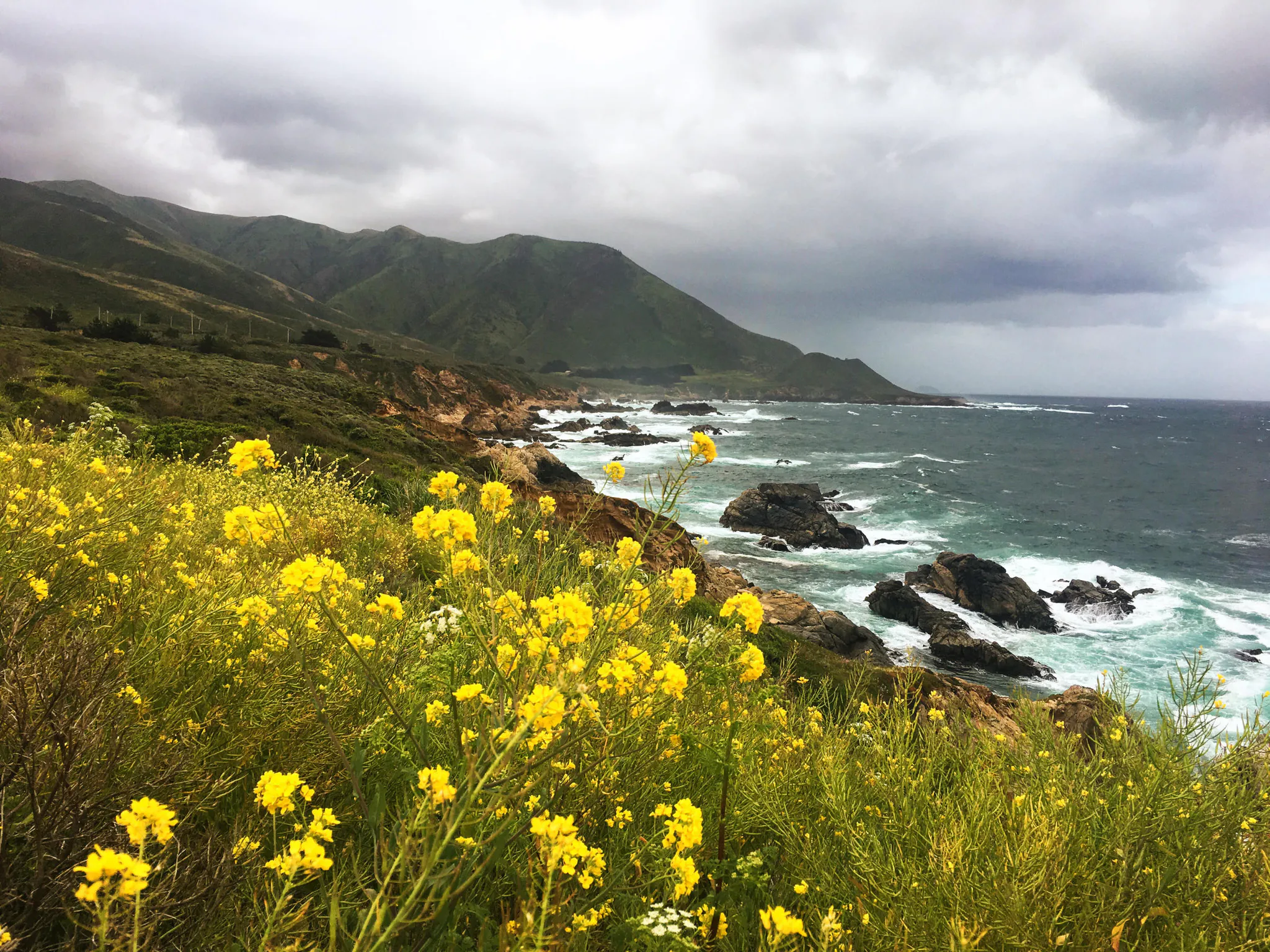 California Coastline