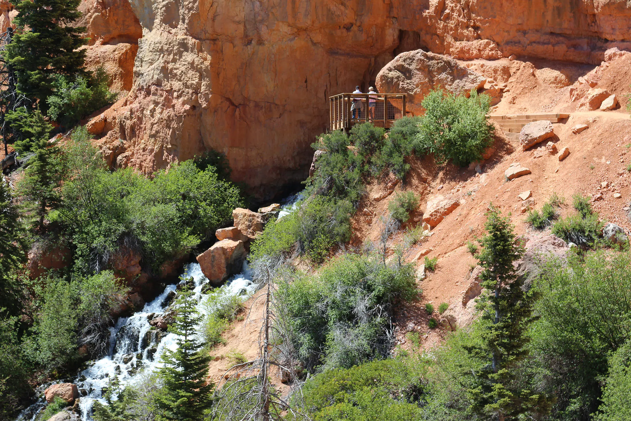 Cascade Falls Zion National Park Hike