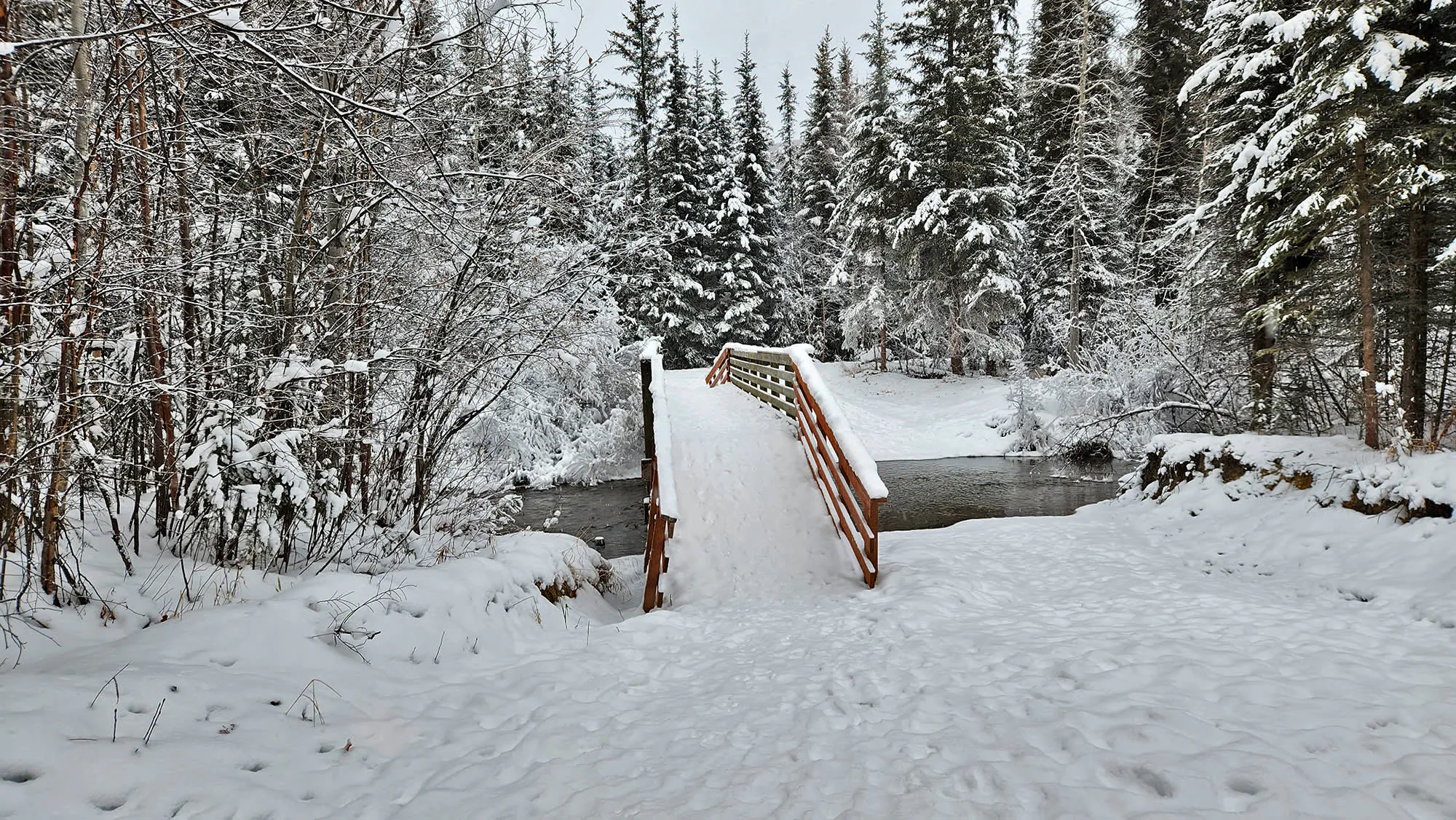 Nature Trail near Chena Hot Springs