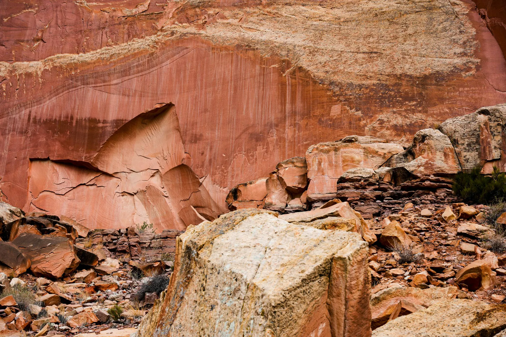 Petroglyph Panel