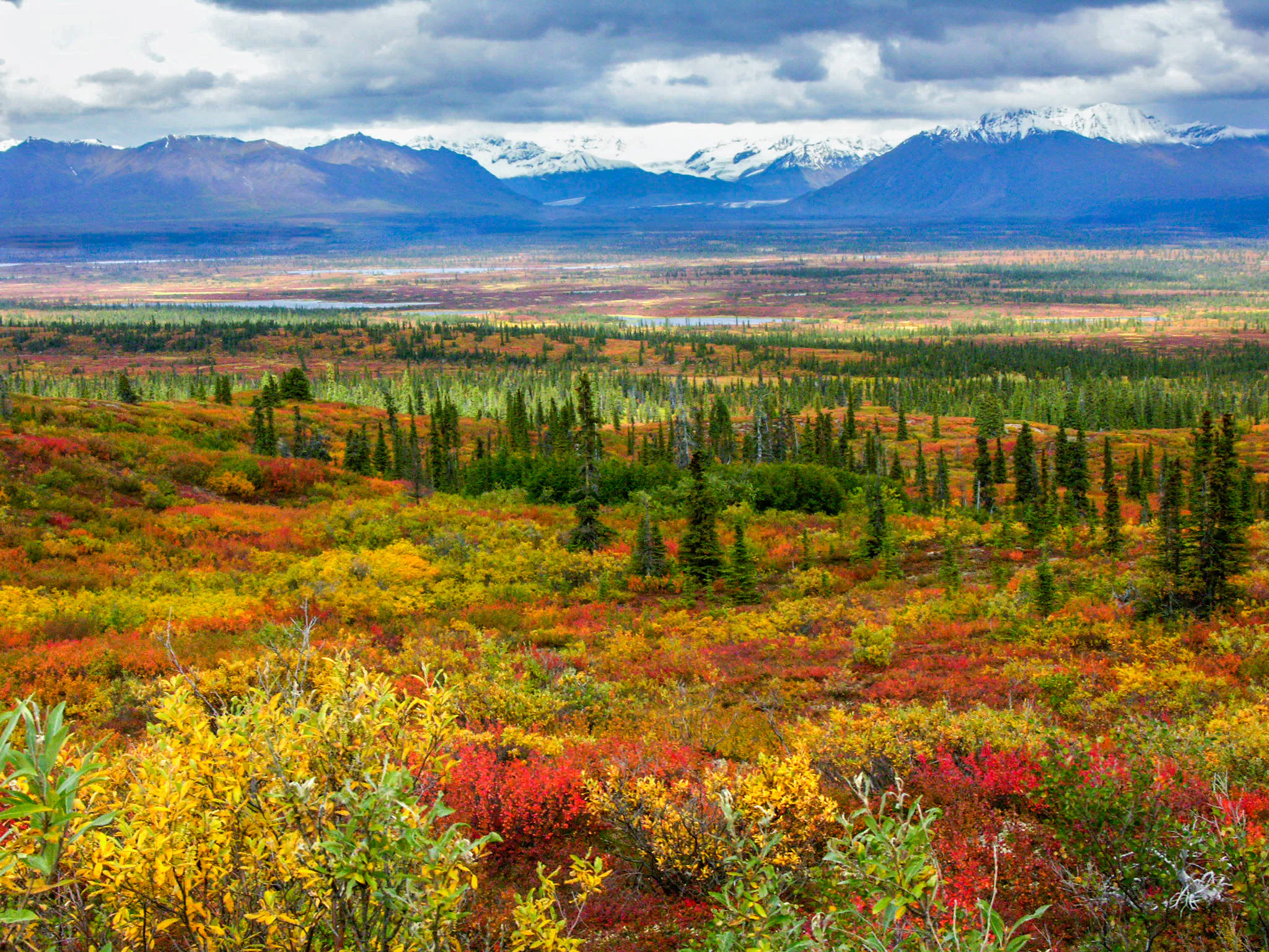 Tundra Colors, Denali Highway, Alaska