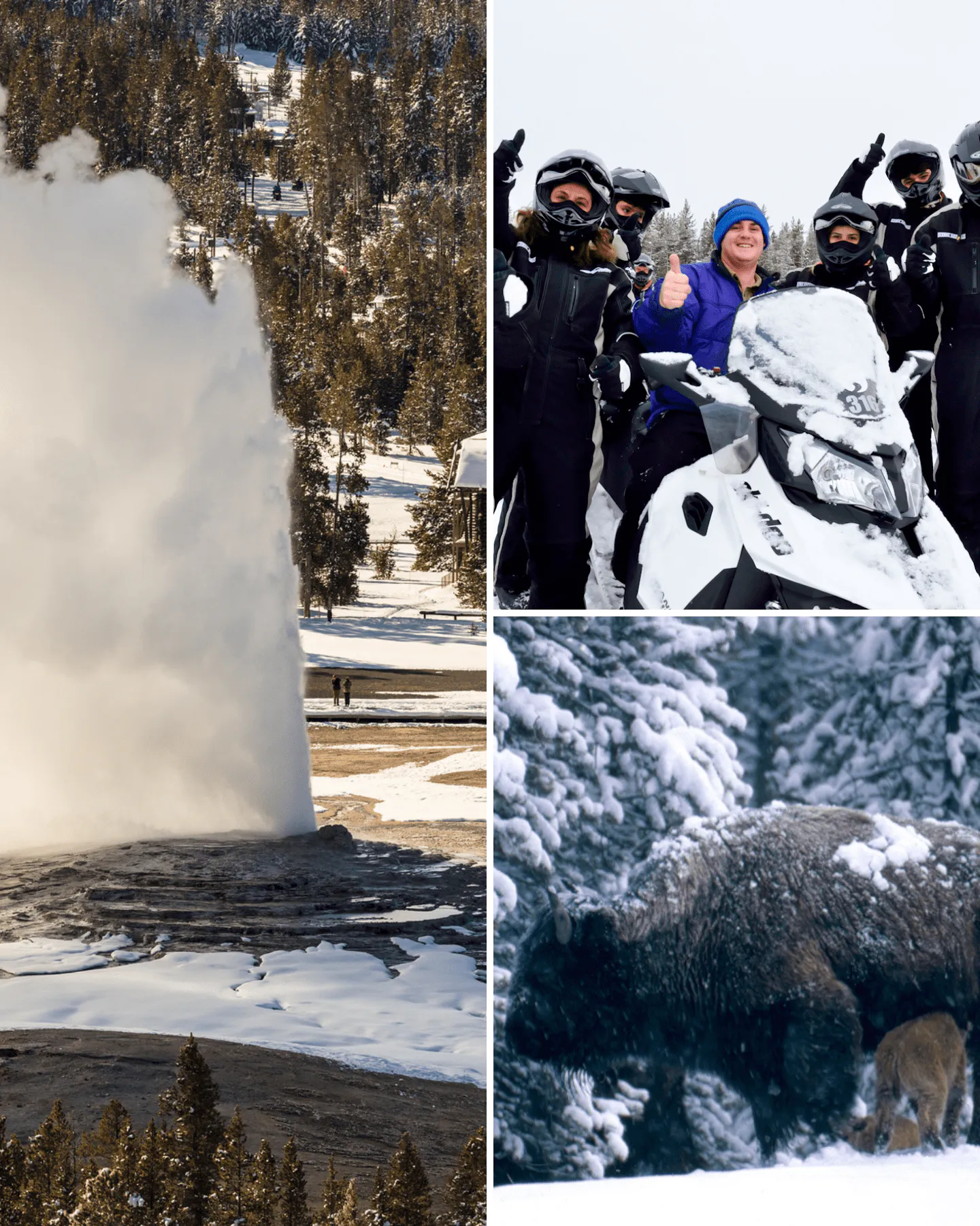 Jackson Hole Day 1
