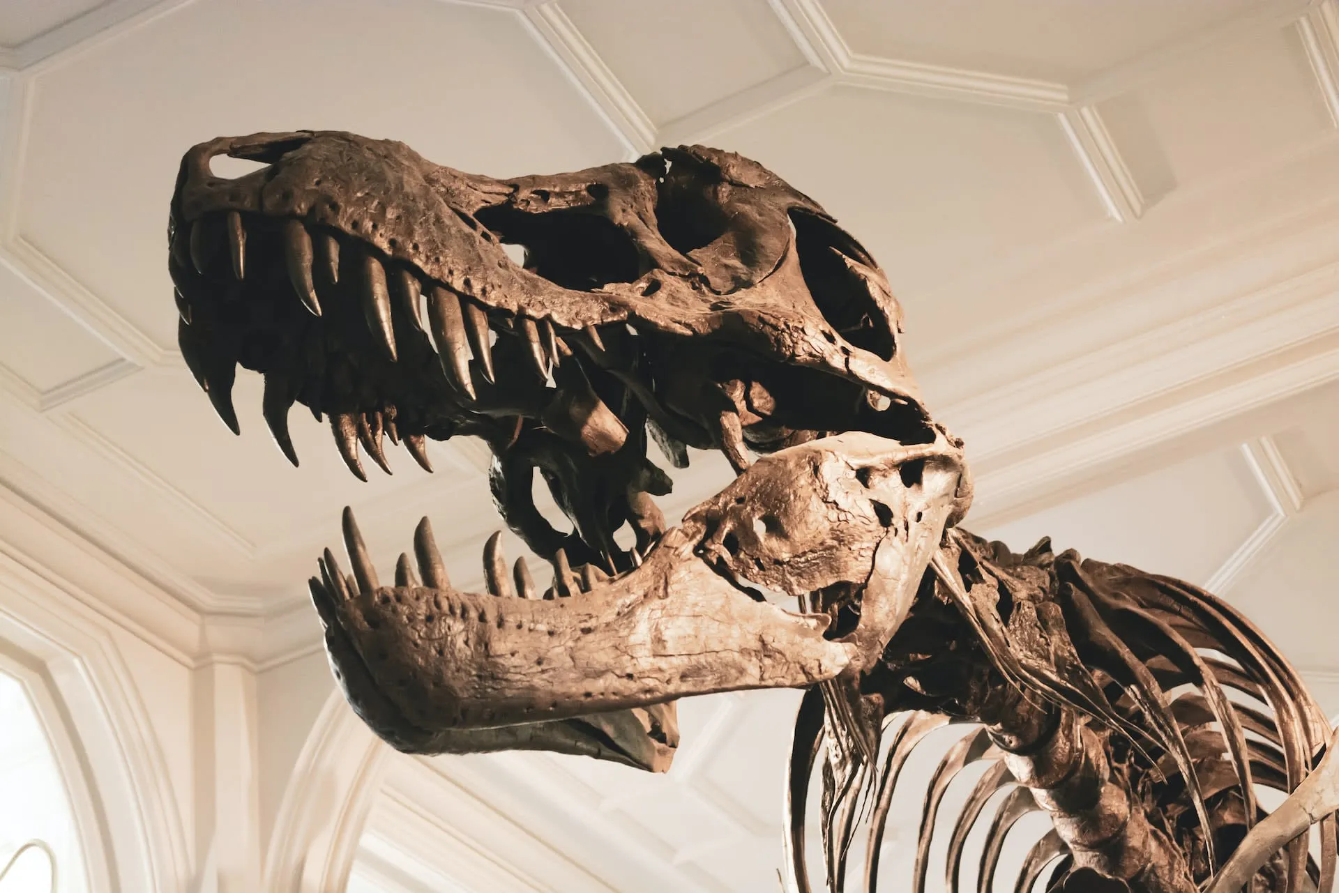 St. George Dinosaurs - Ancient Odysseys