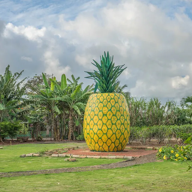 Dole Plantation