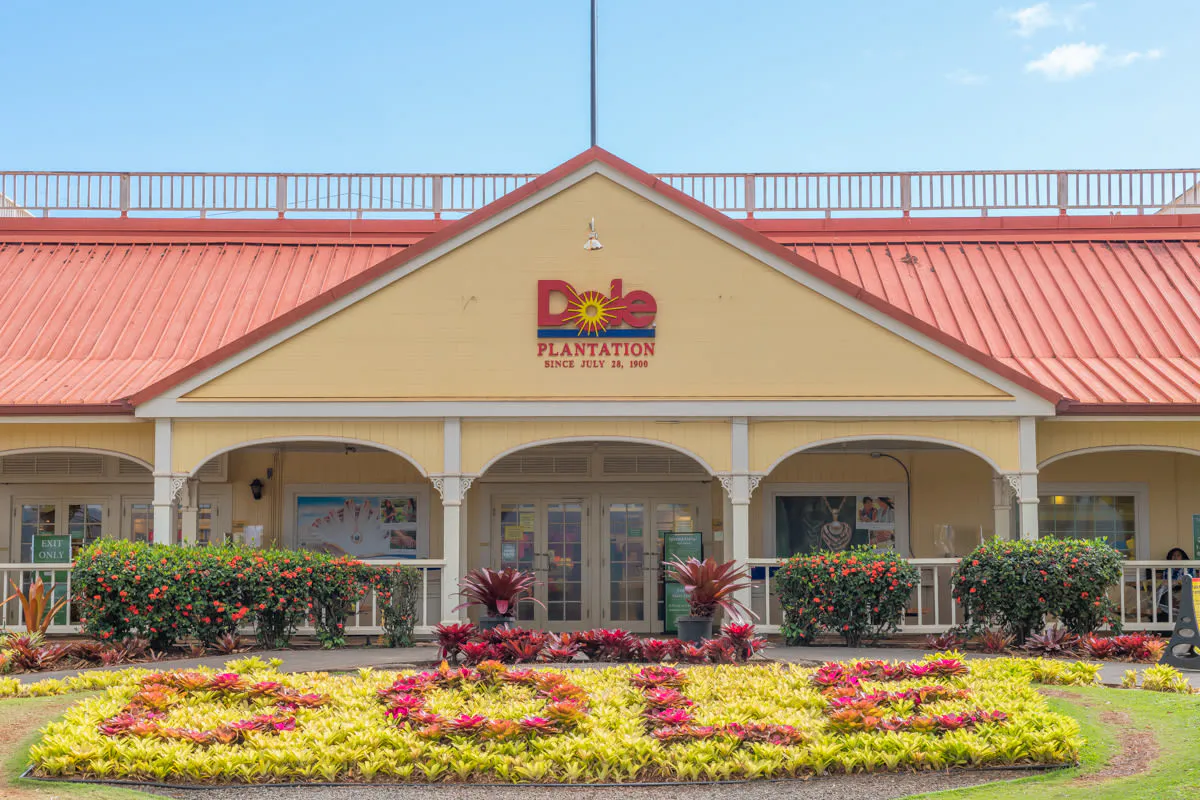 Dole Planation Tour
