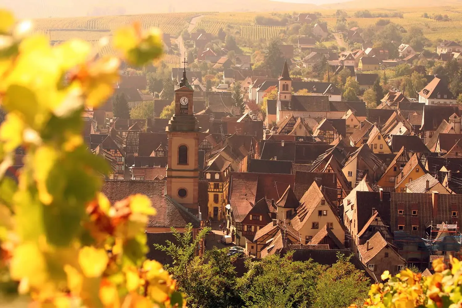 Captivating Rhine