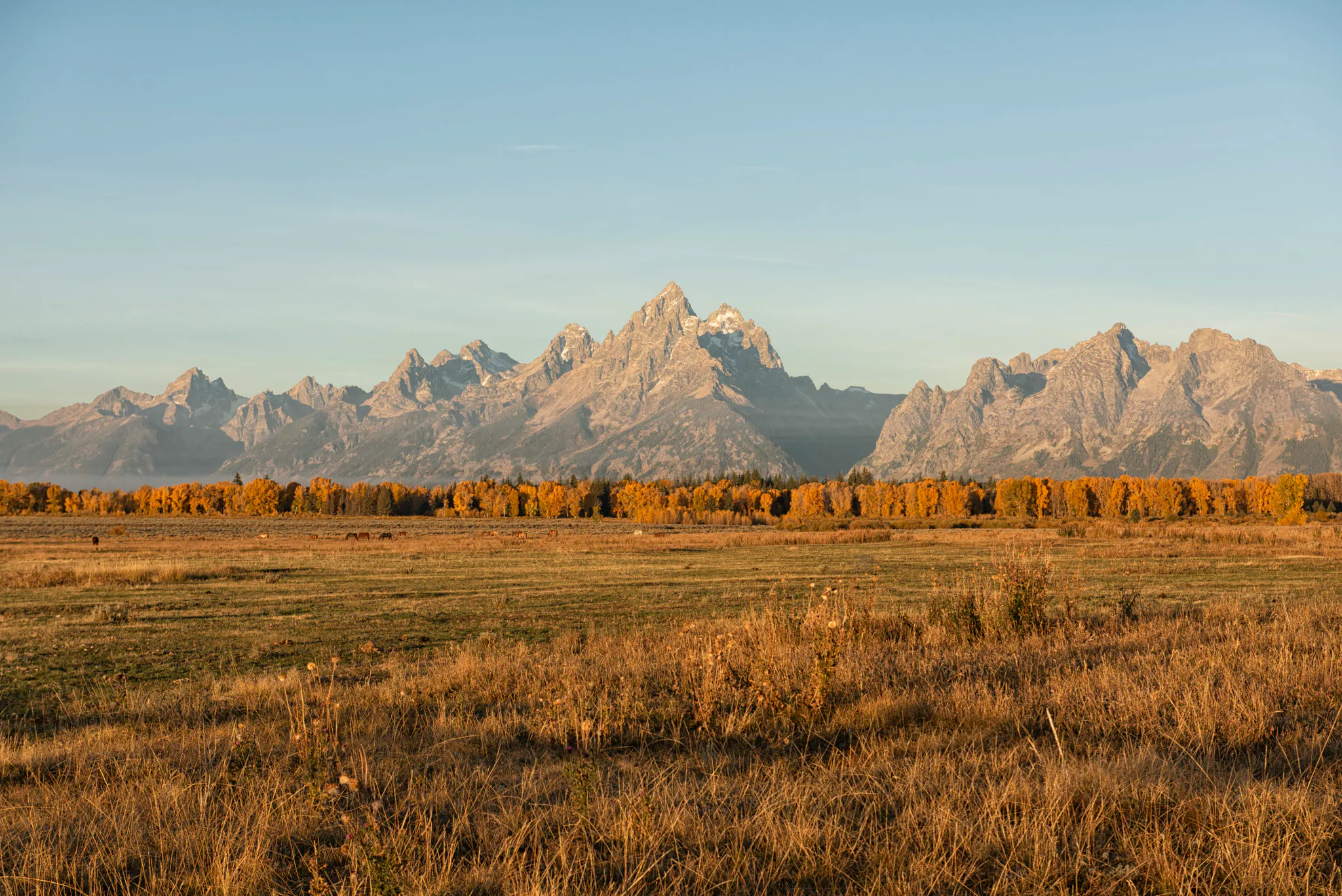 Fall in Grand Teton