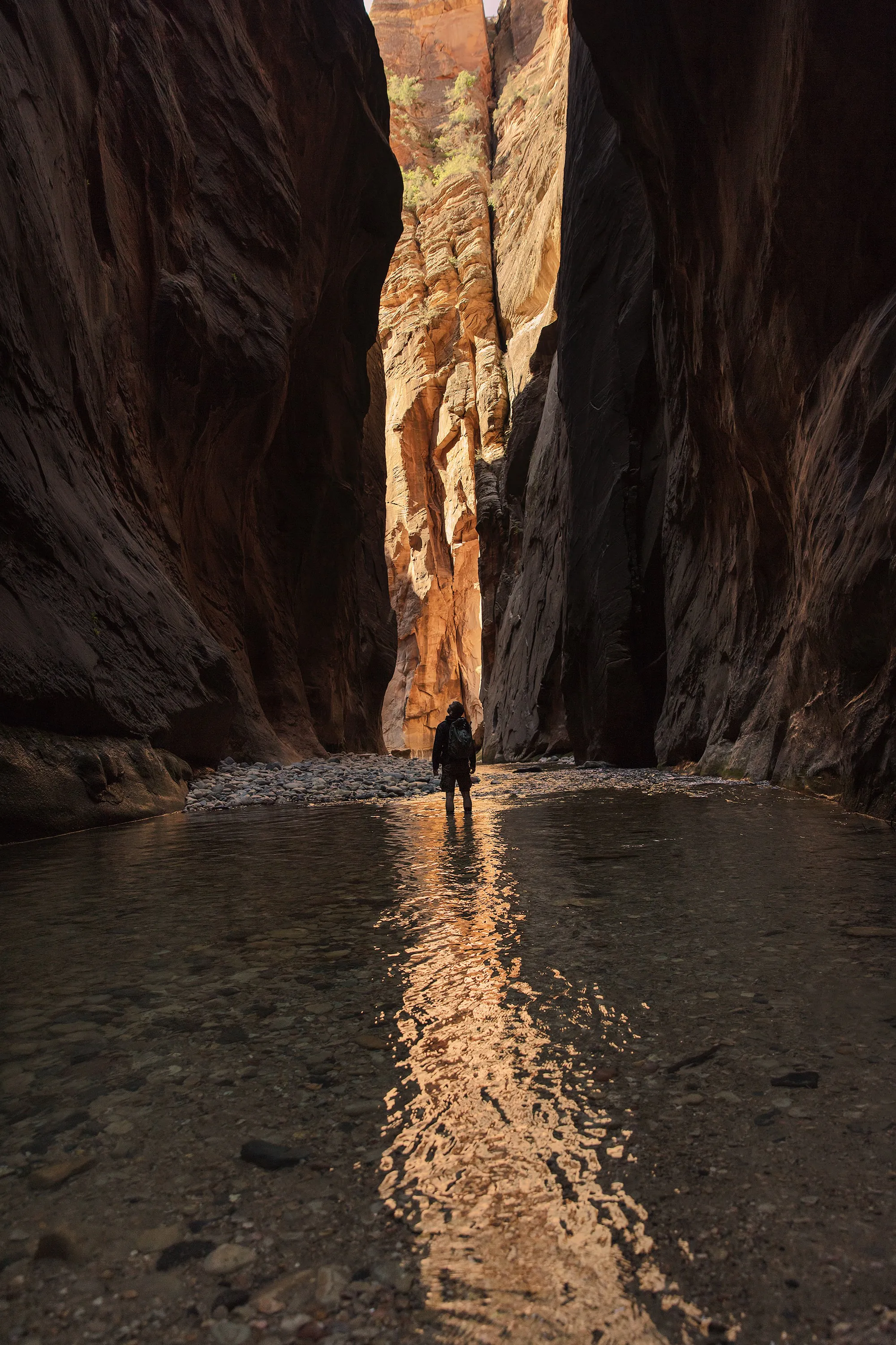 Person Walking In A Canyon Creek At The Zion Narrows