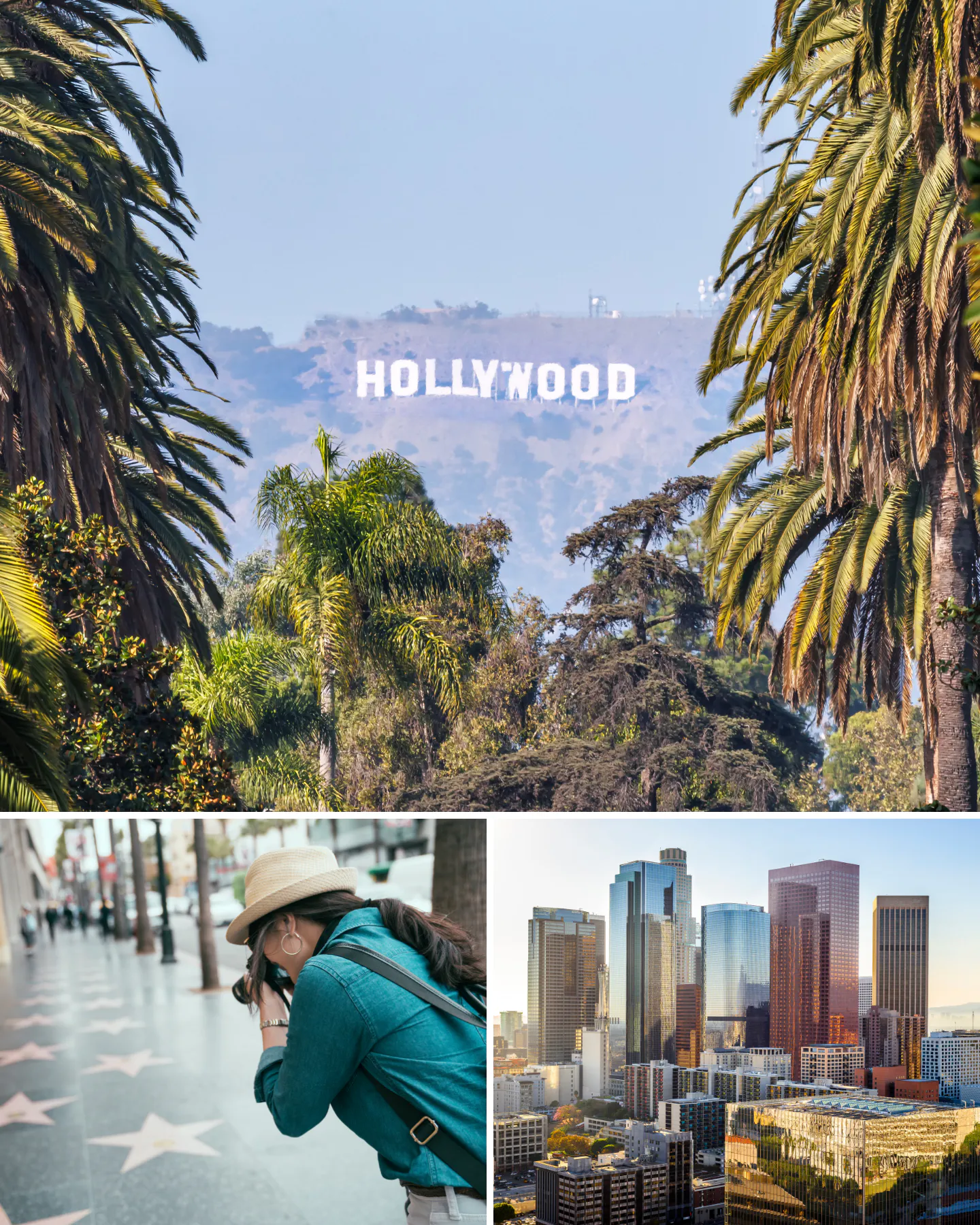 Hollywood