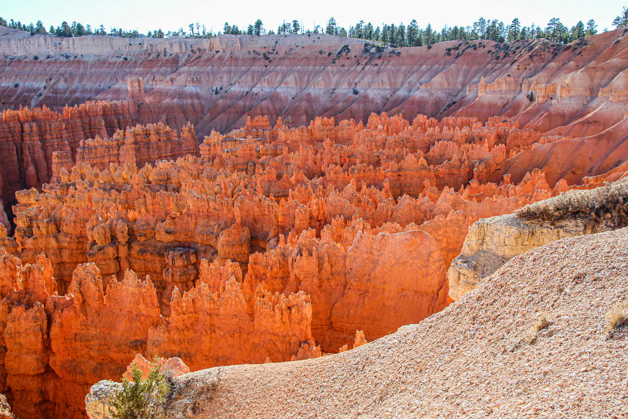 An array of hoodoos at Silent City in Bryce Canyon National Park