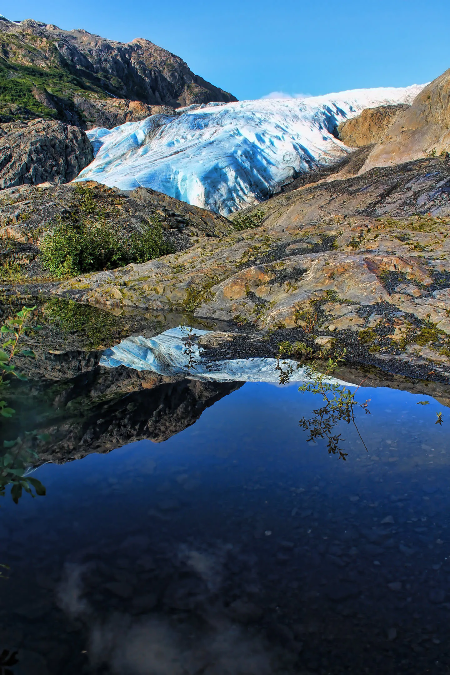 Kenai Fjord NP Glacier