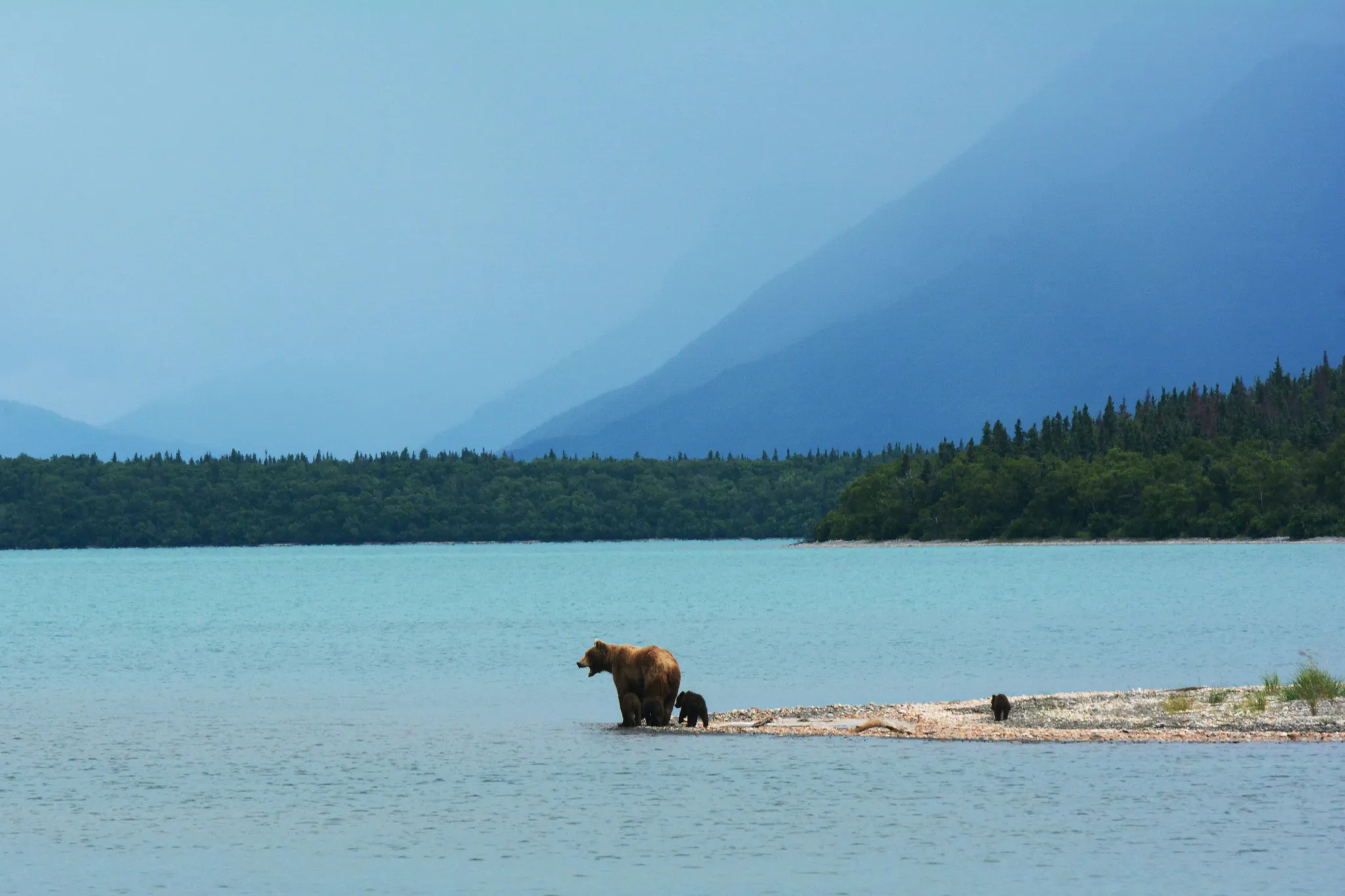 Katmai