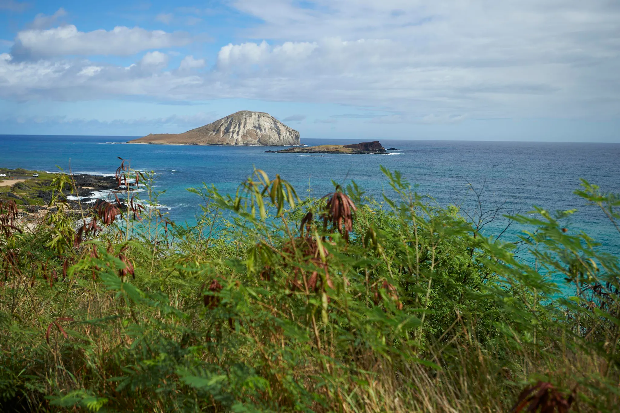 Hawaii Oahu Active Adventure