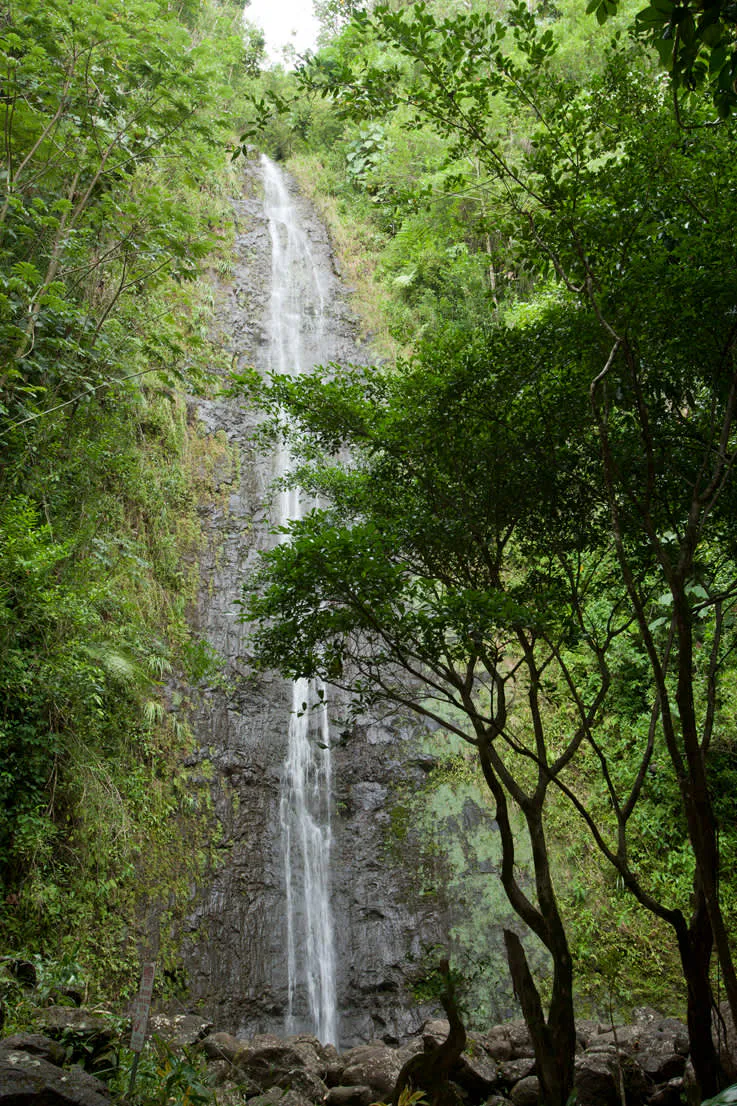 Manoa Falls