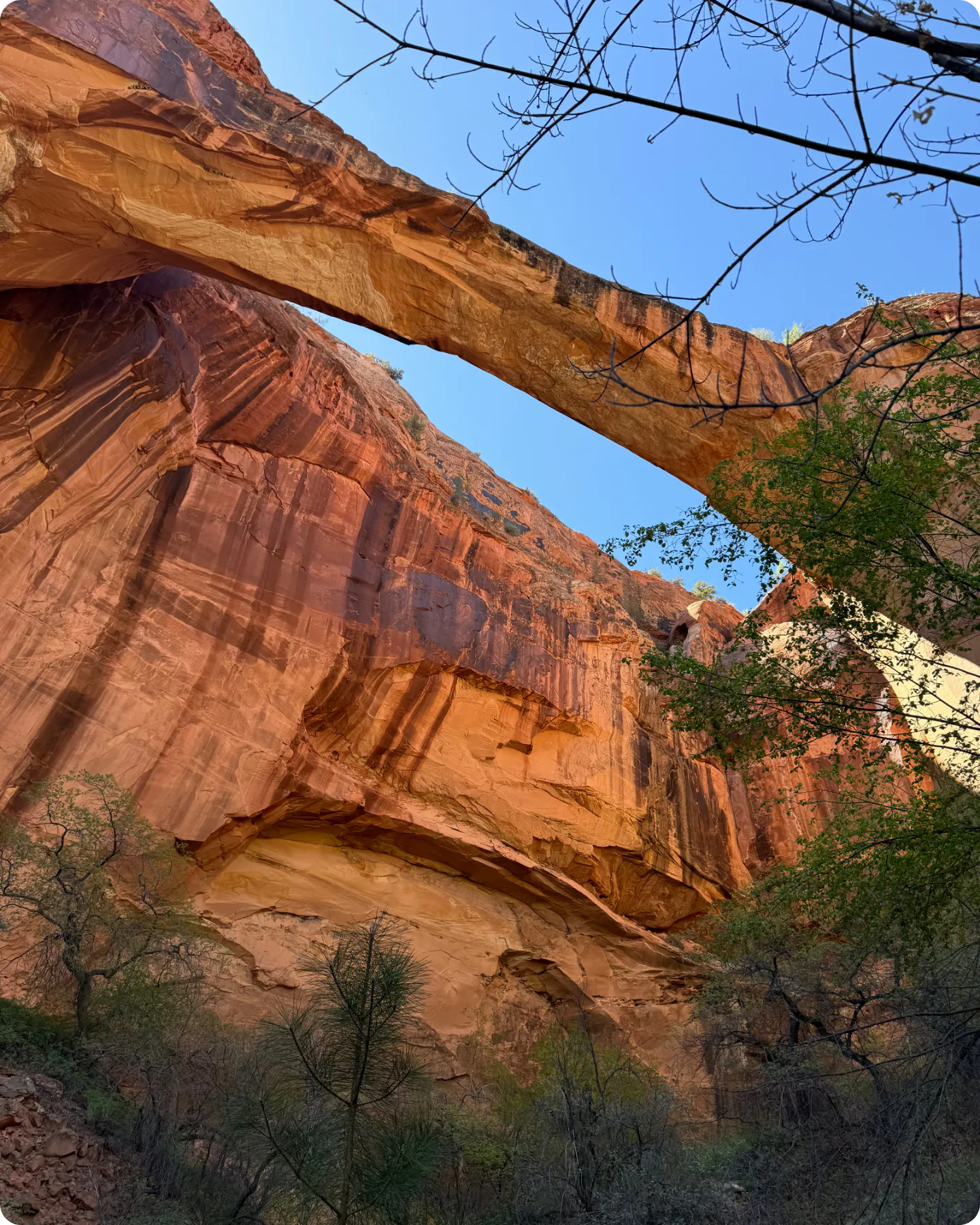 Natural Bridge