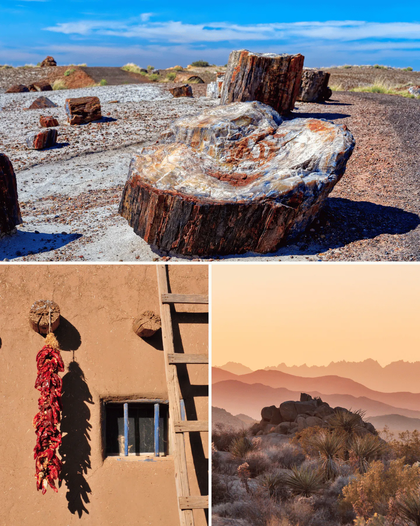 New Mexico