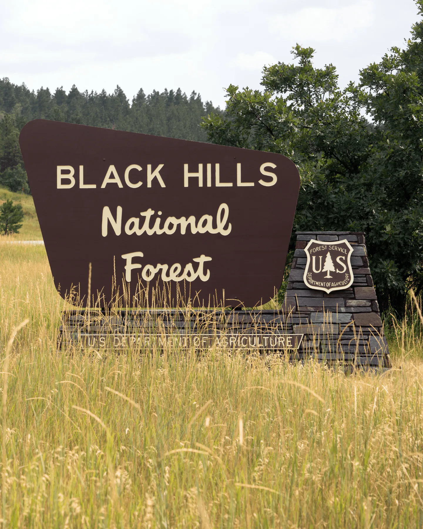 Black Hills Sign
