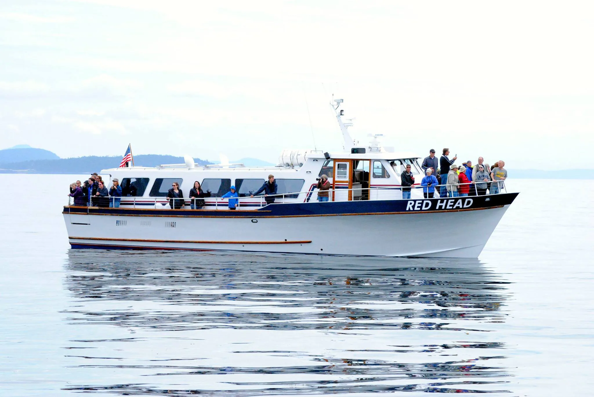 Port Townsend Whale Watching