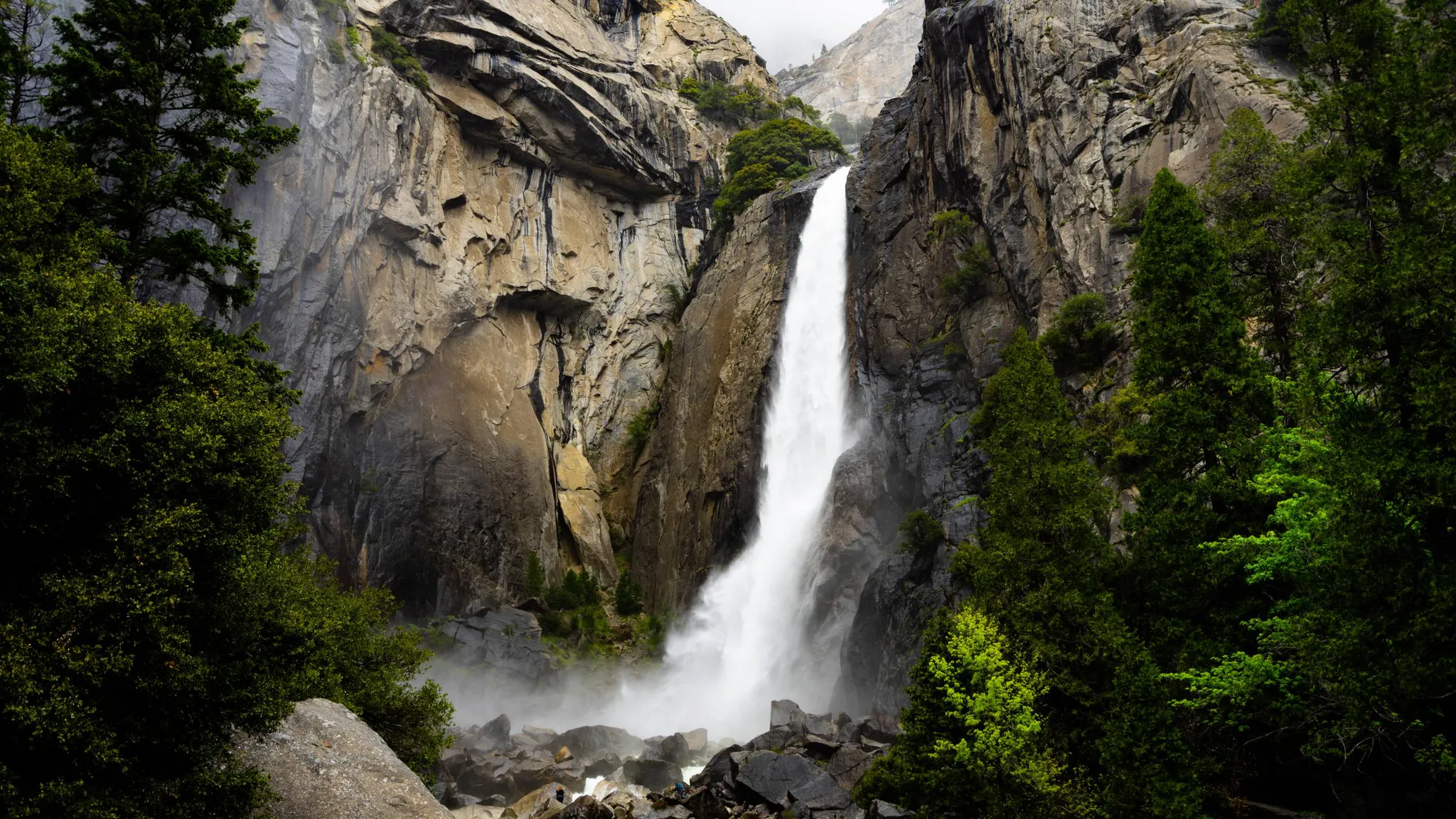 Yosemite, Sequoia, & California Coast