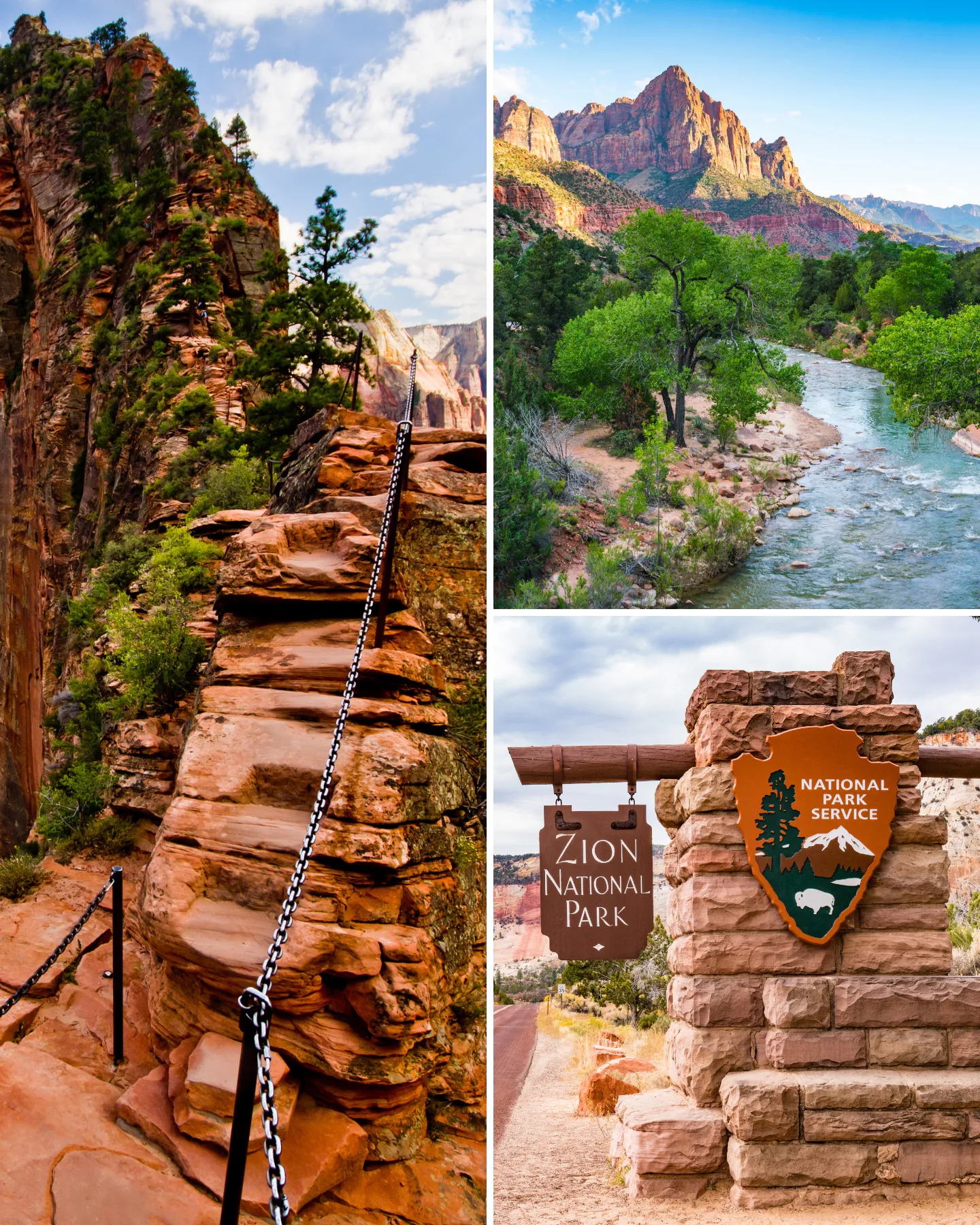 Zion 3 photos