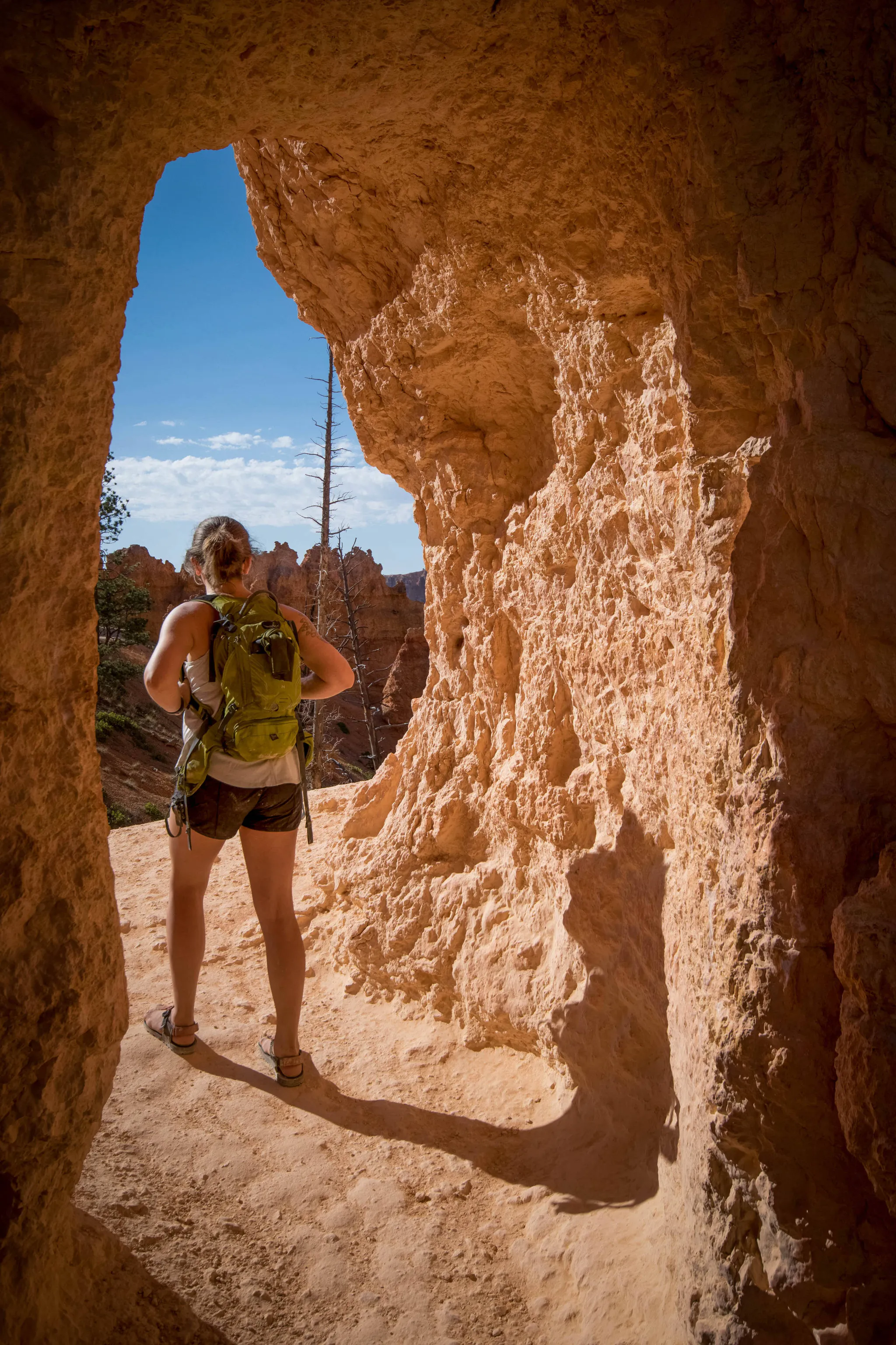 Zion & Bryce Canyon 1-Day Tour From Southern Utah