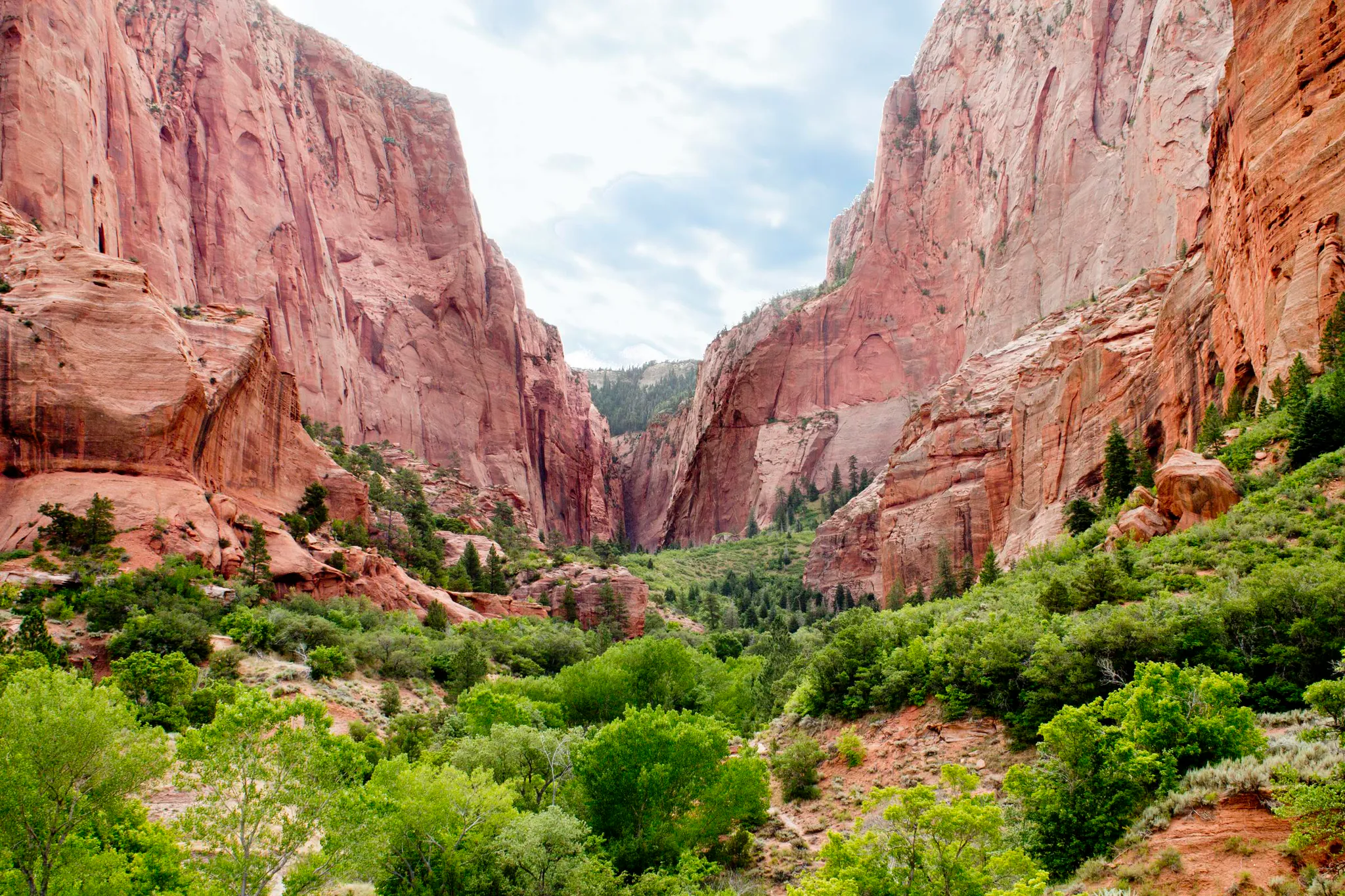 Zion Kolob Fingers