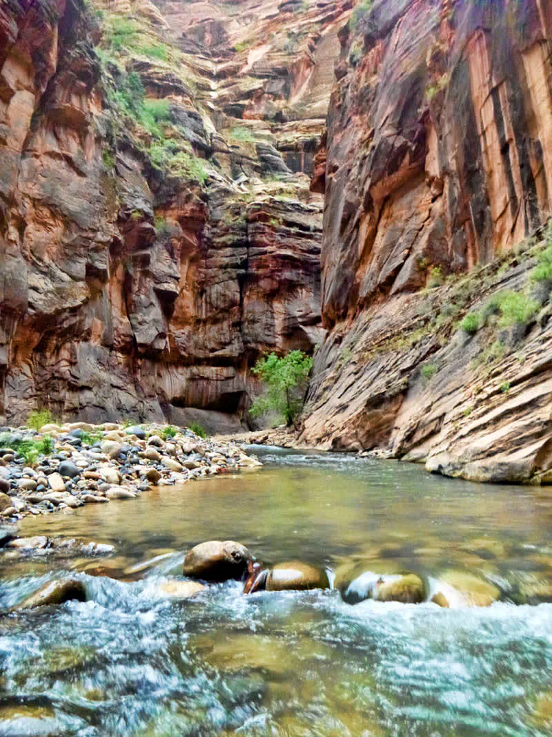 Zion Virgin River Narrows Hiking