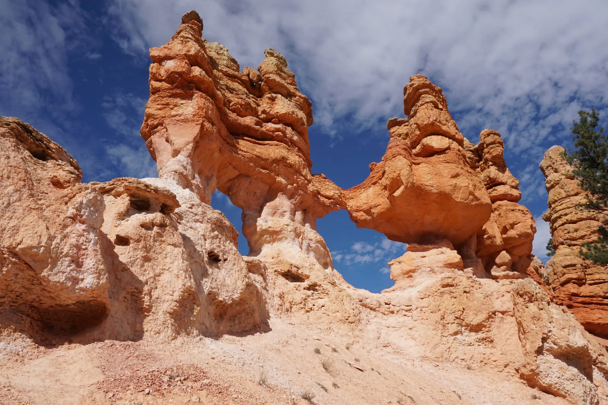 Large Group Tour: Utah's Mighty 5 National Parks