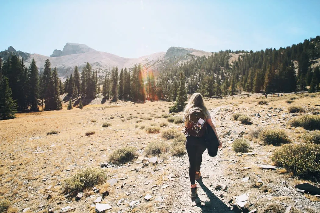 Bryce Canyon, Great Basin, & Zion National Parks