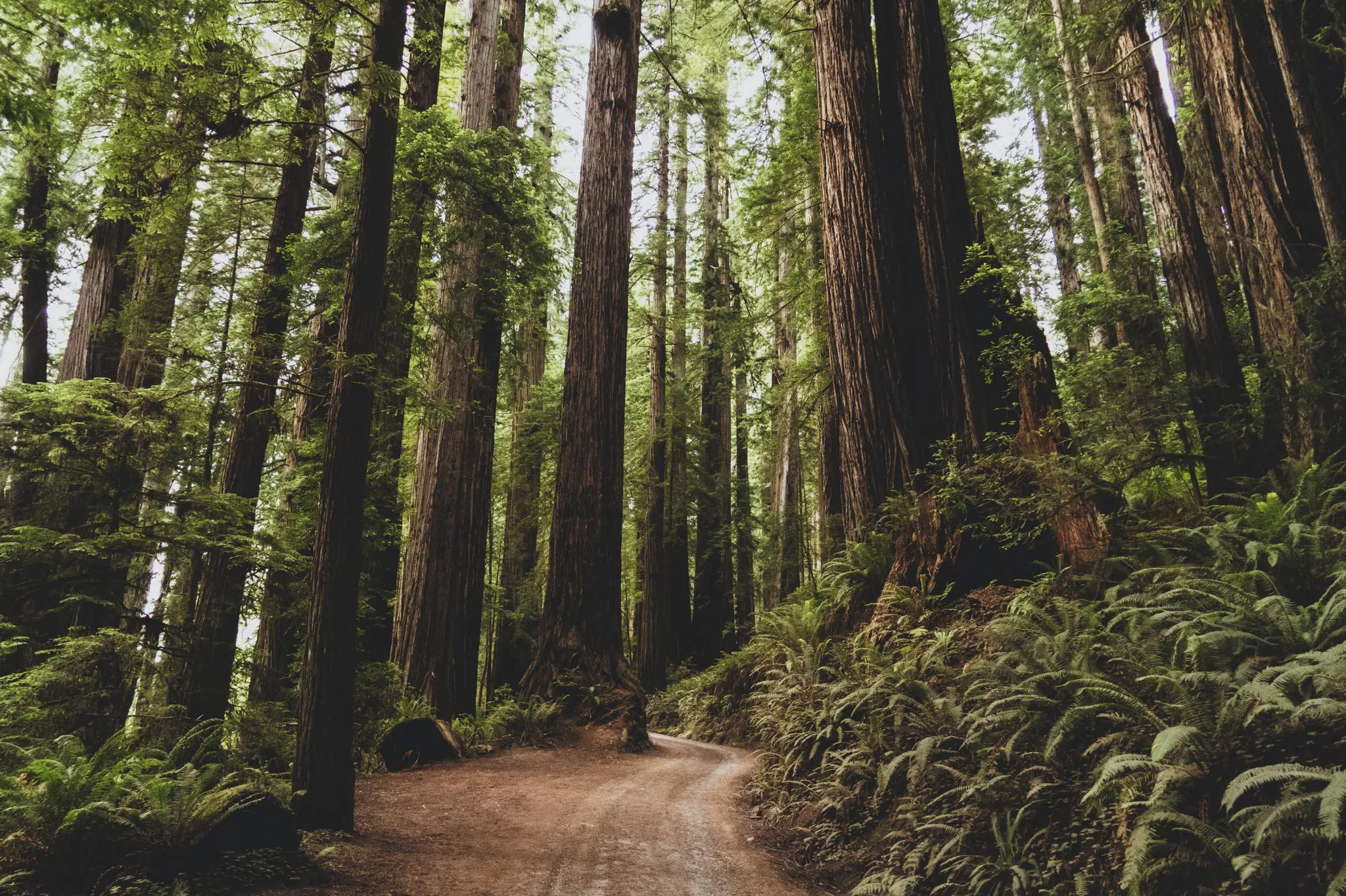Oregon 3