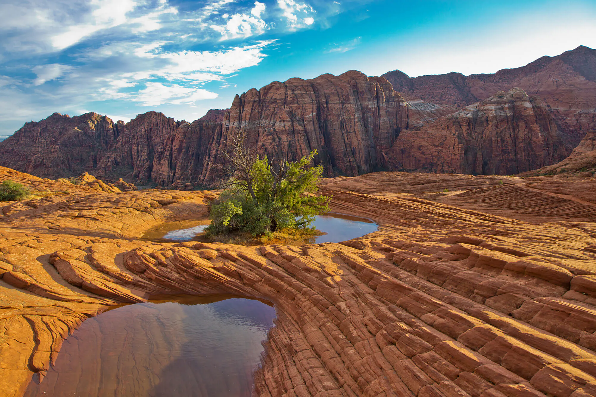Snow Canyon