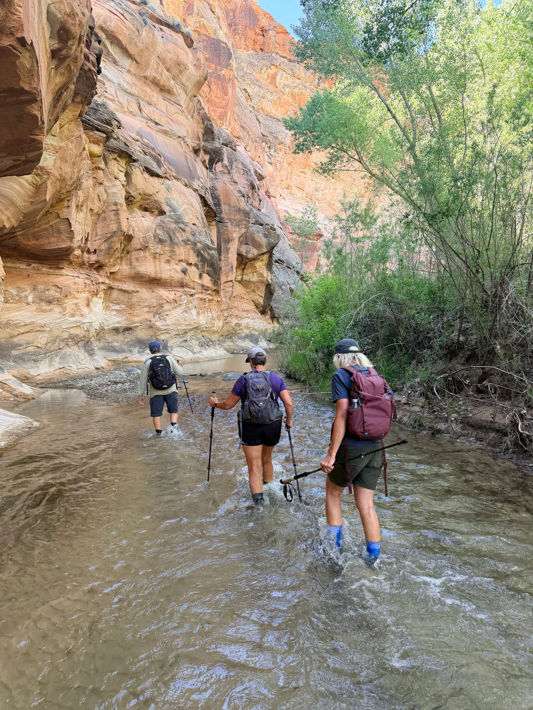 Hikers wading upstream through an Escalante canyon