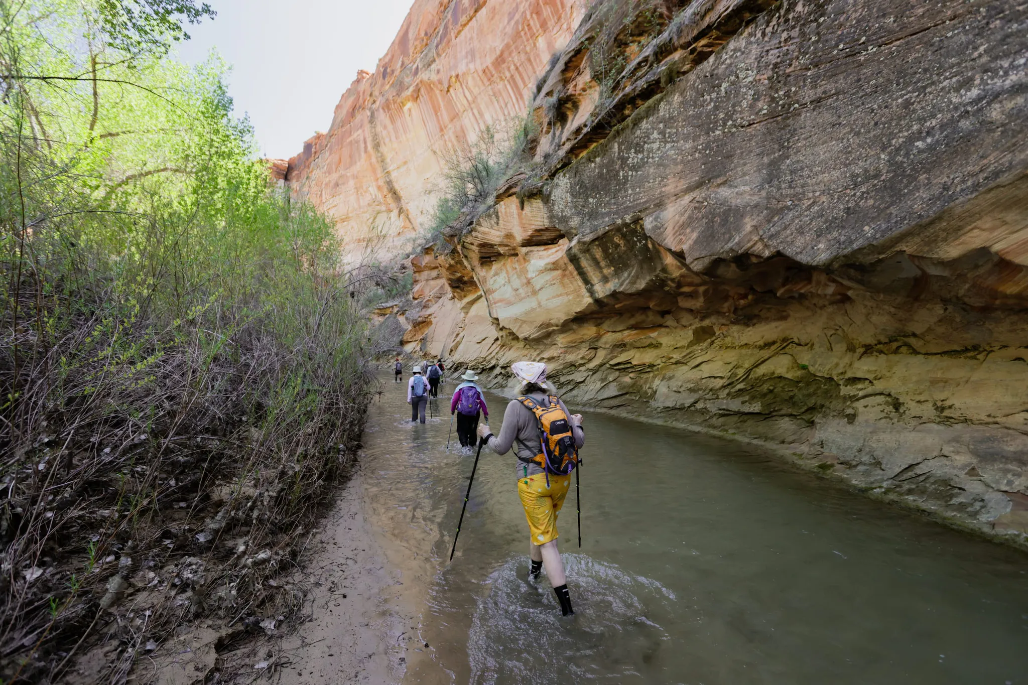 Hiking up the river through the Escalante canyons