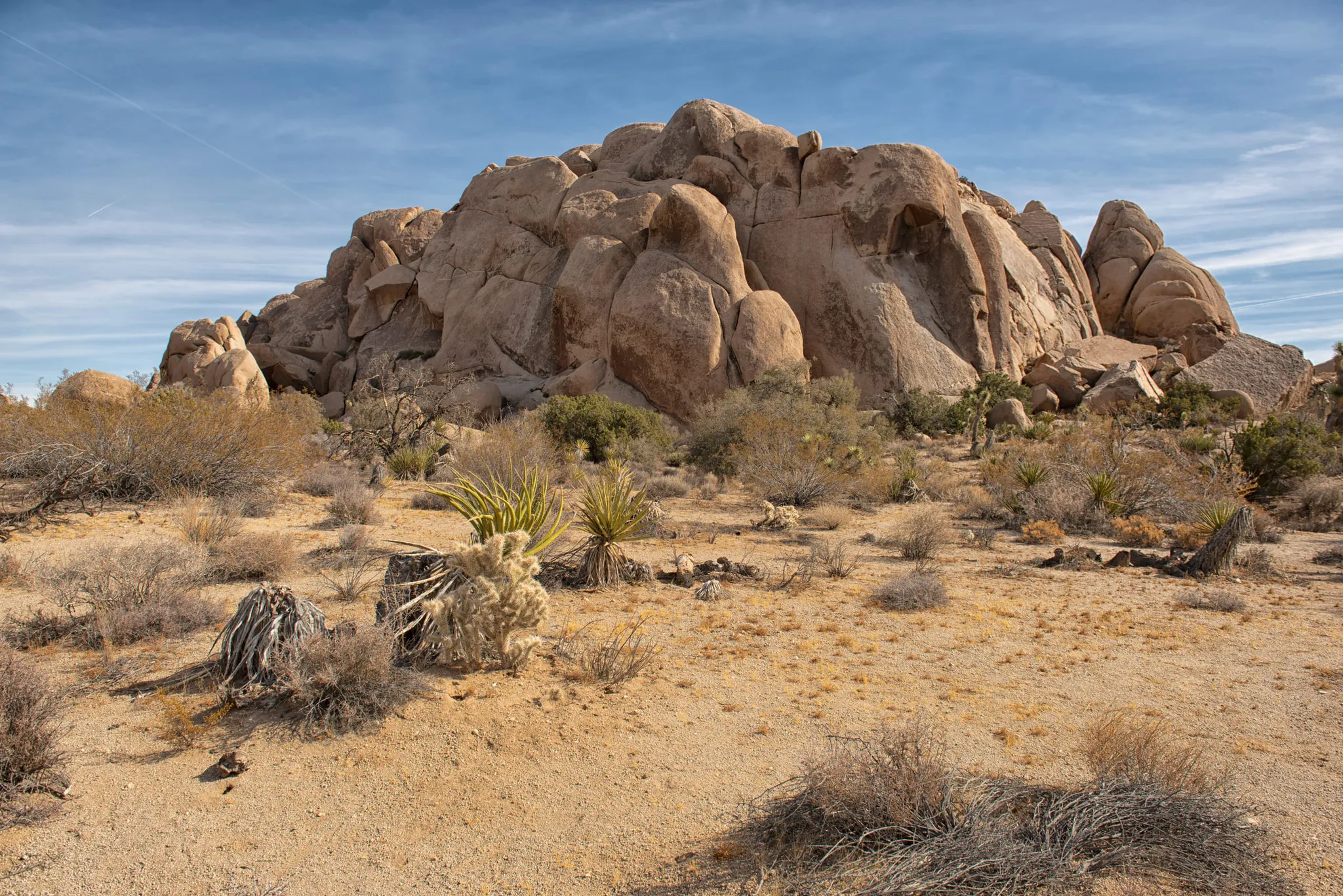 Granite boulders in Joshua Tree National Park