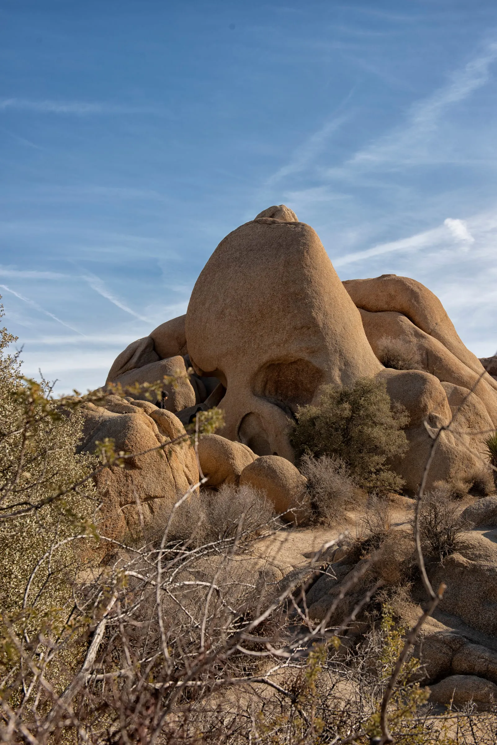 Skull Rock, Joshua Tree National Park