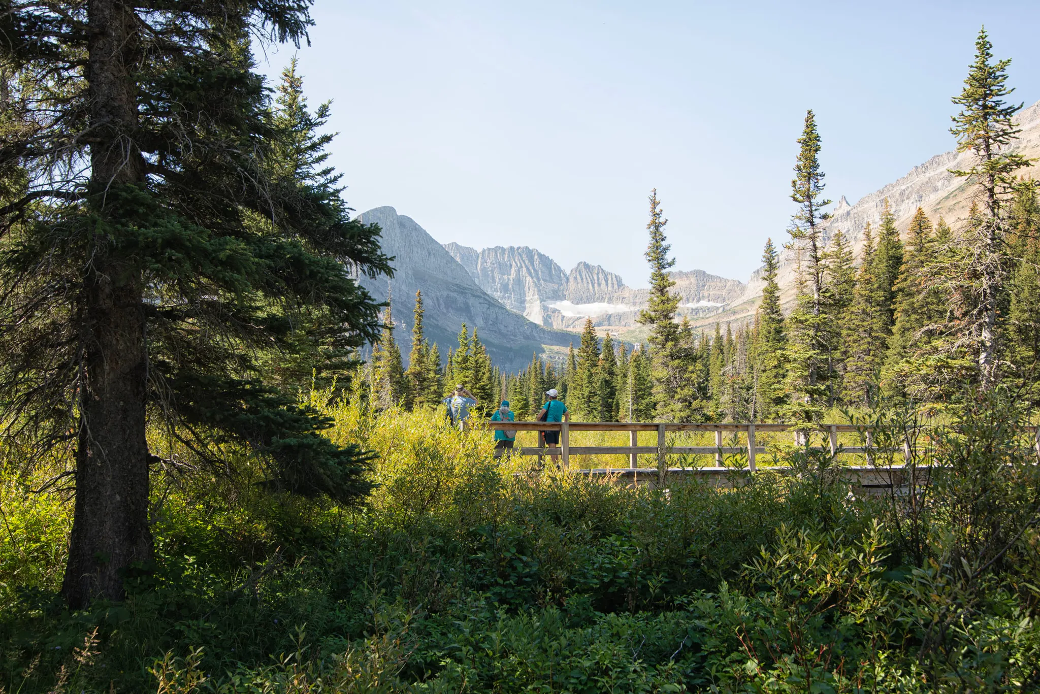 A walking path in Glacier National Park