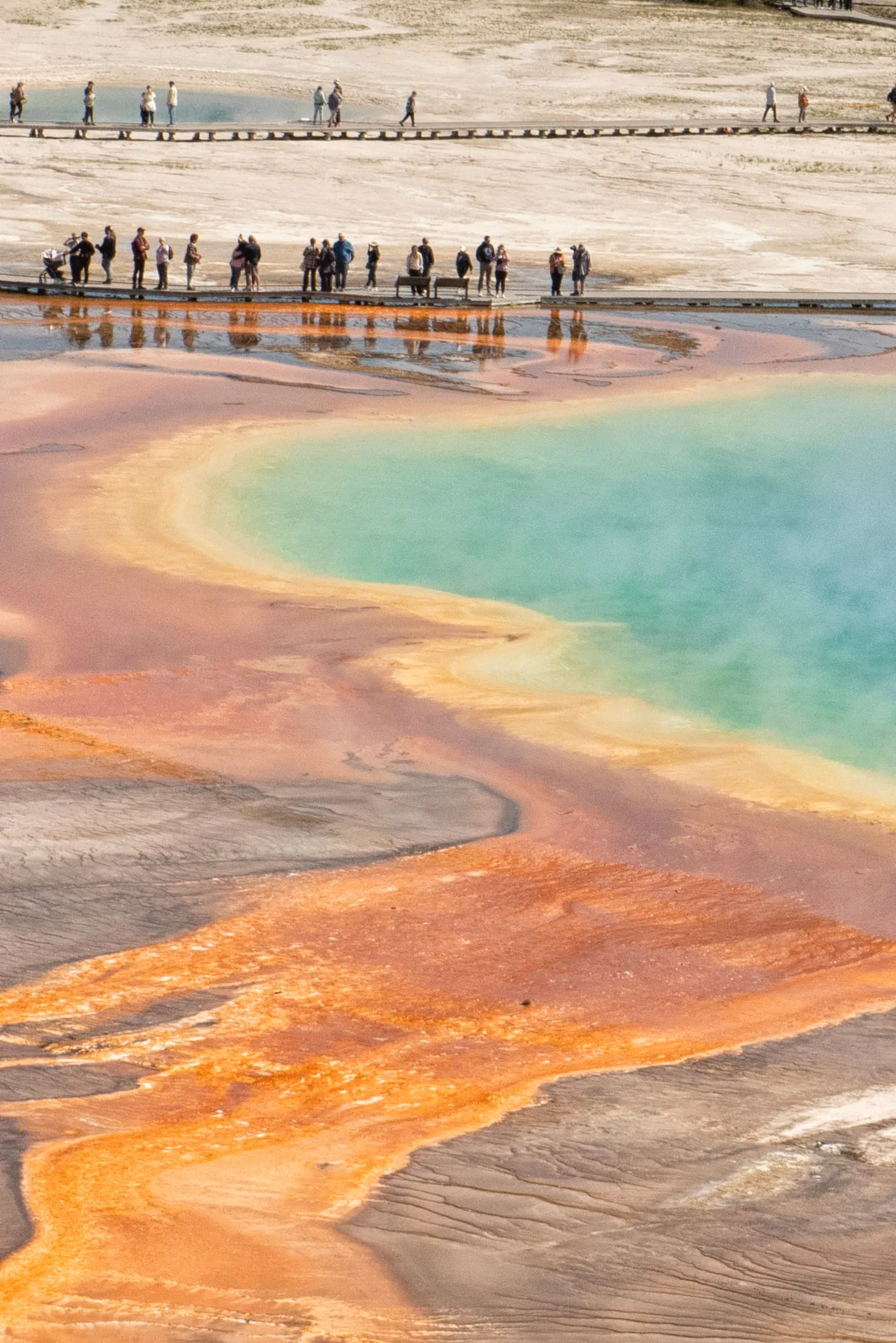 A hot spring in Yellowstone