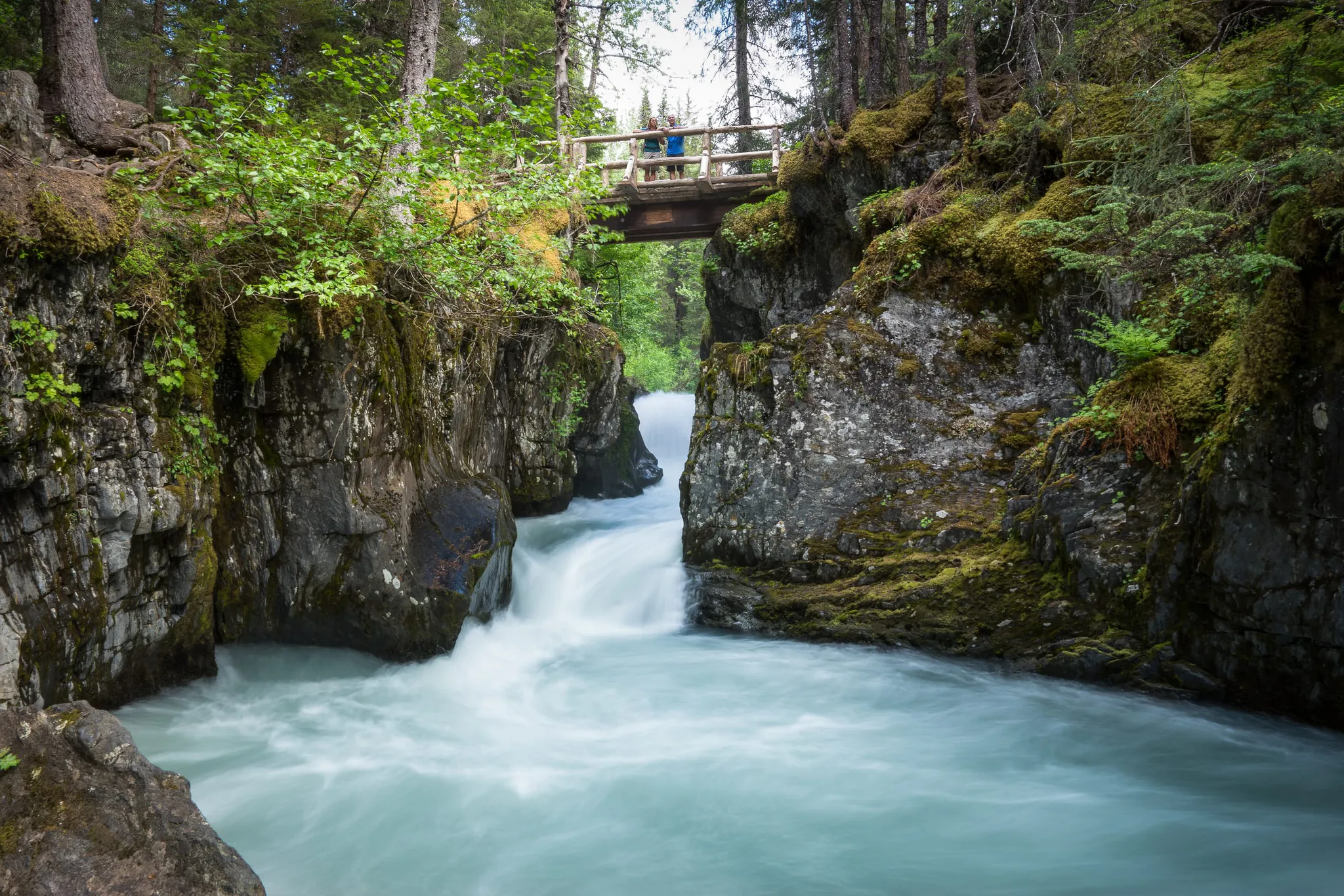 The bridge on the Winner Creek Trail