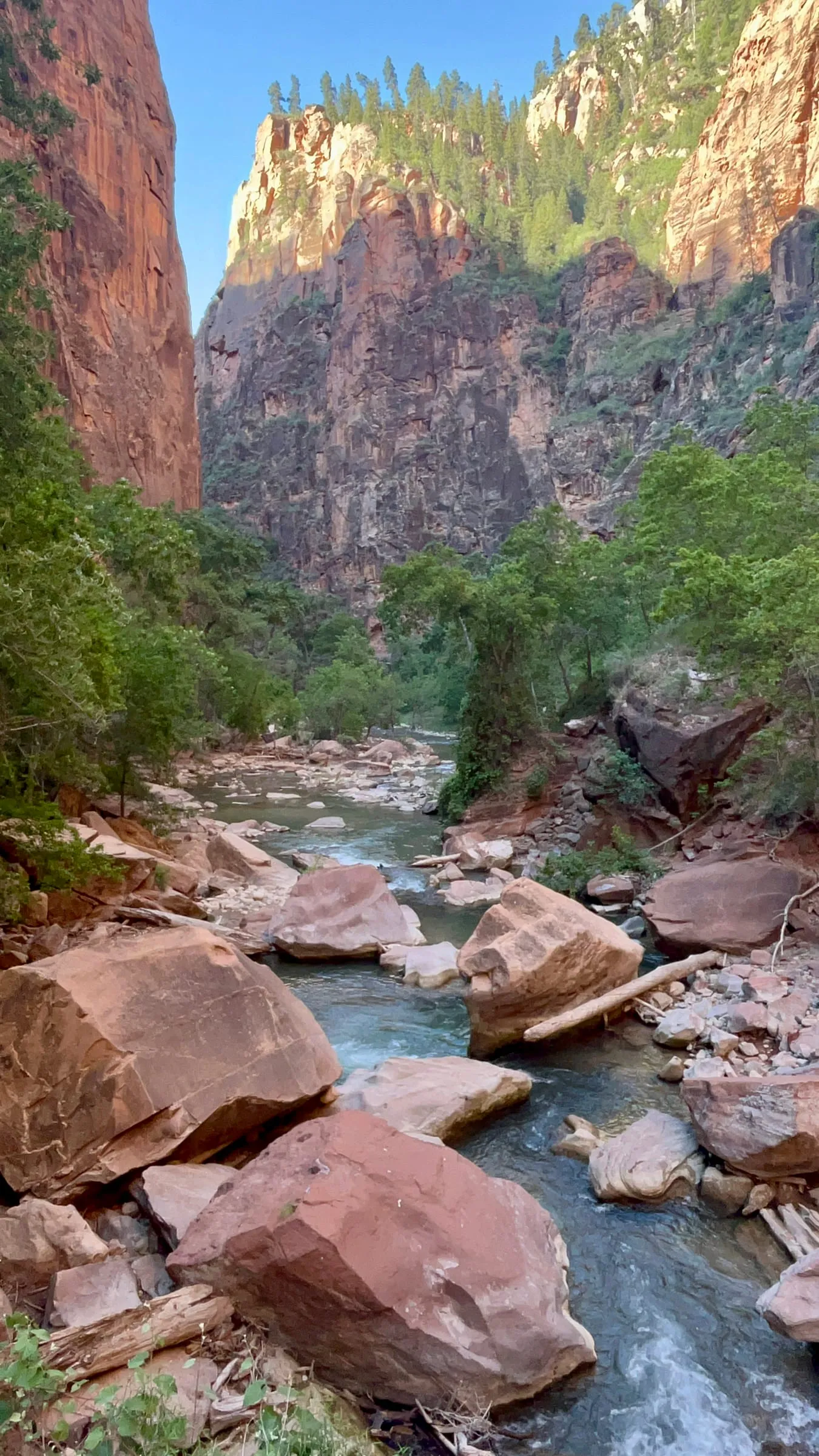 The Virgin River, Zion National Park