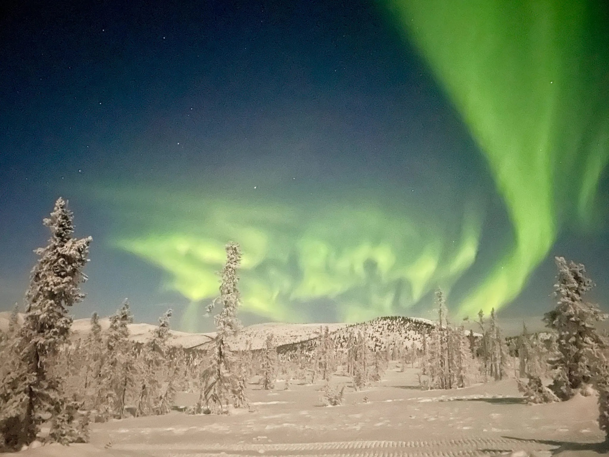 The northern lights over the snow