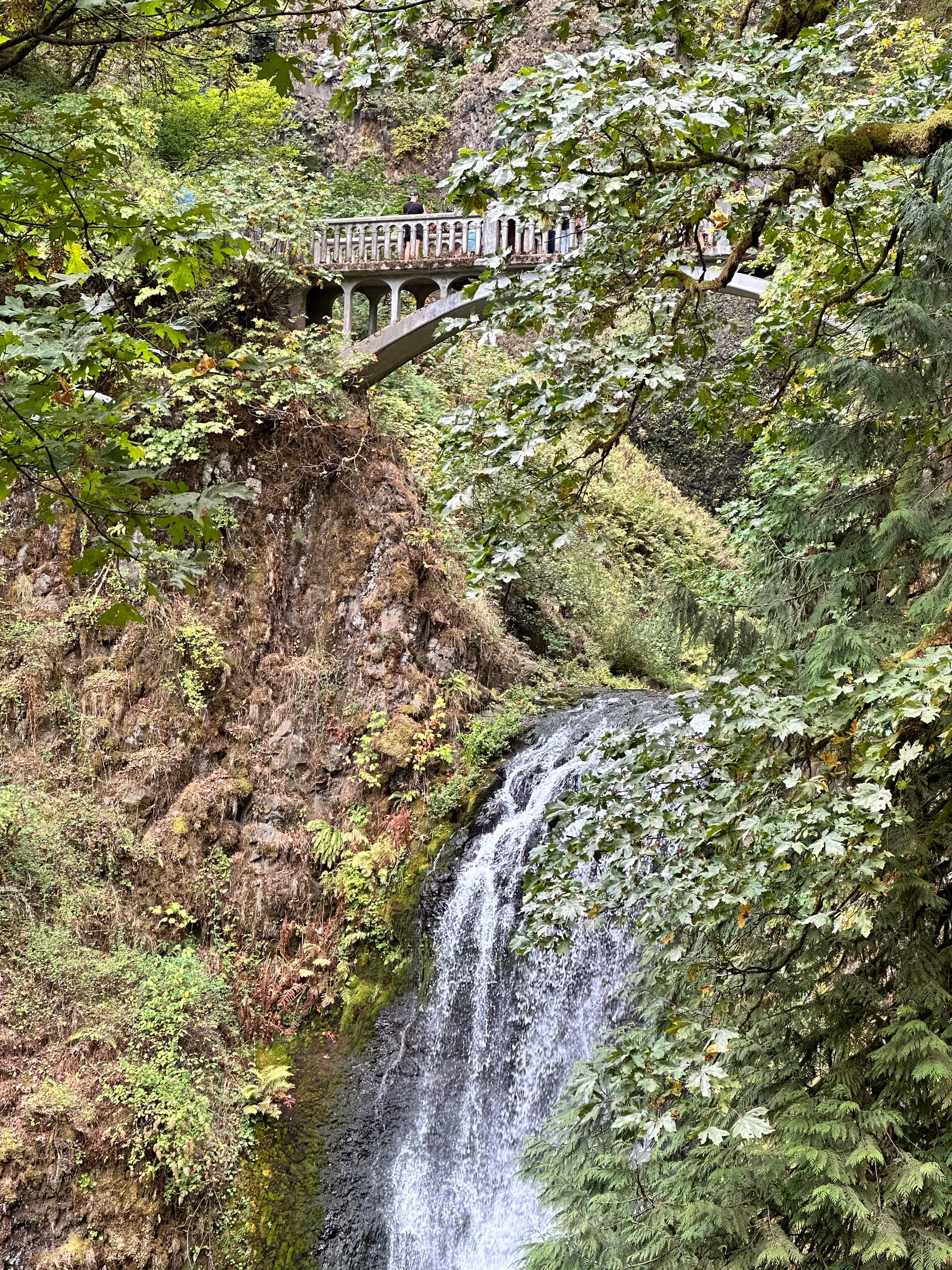 Benson Bridge above the lower falls at Multnomah