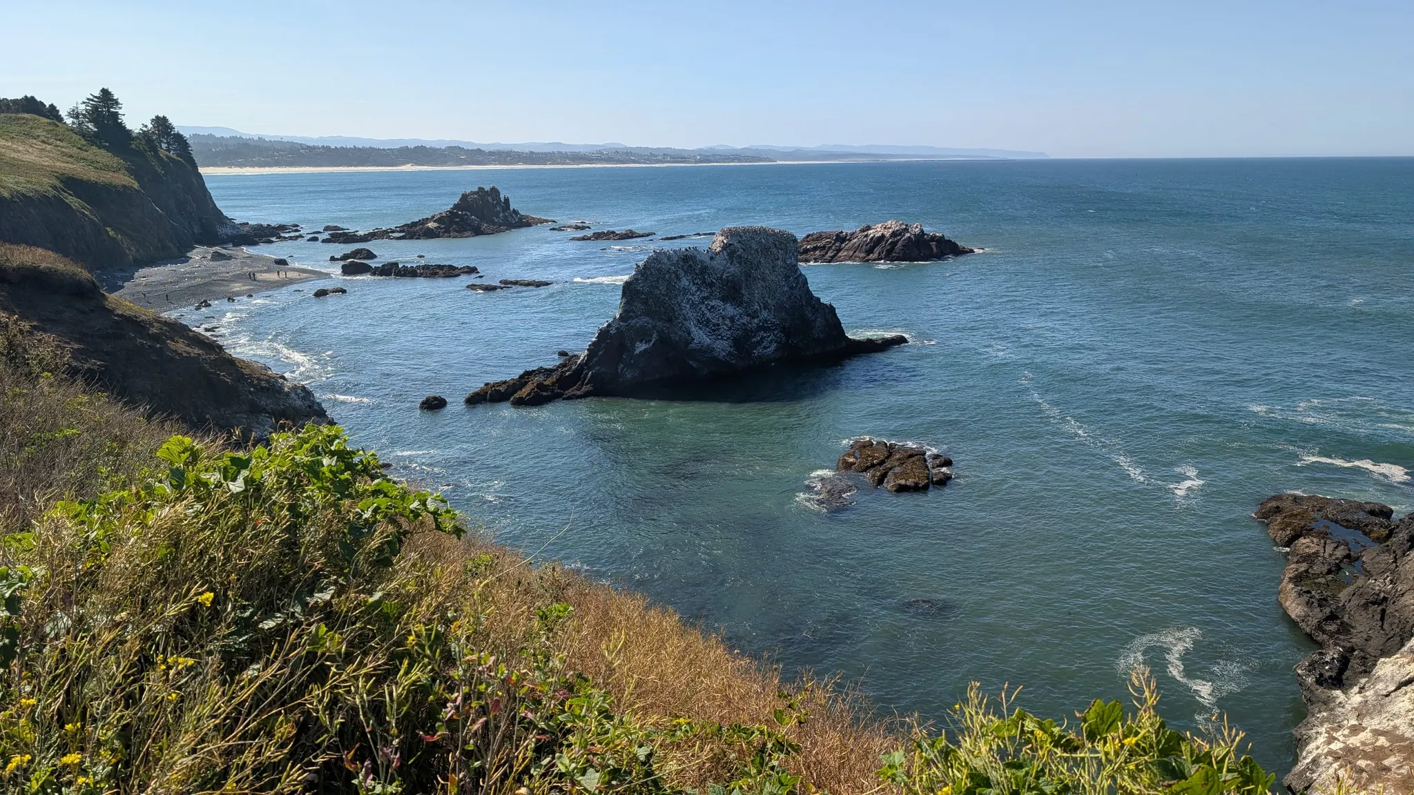 The Oregon coastline
