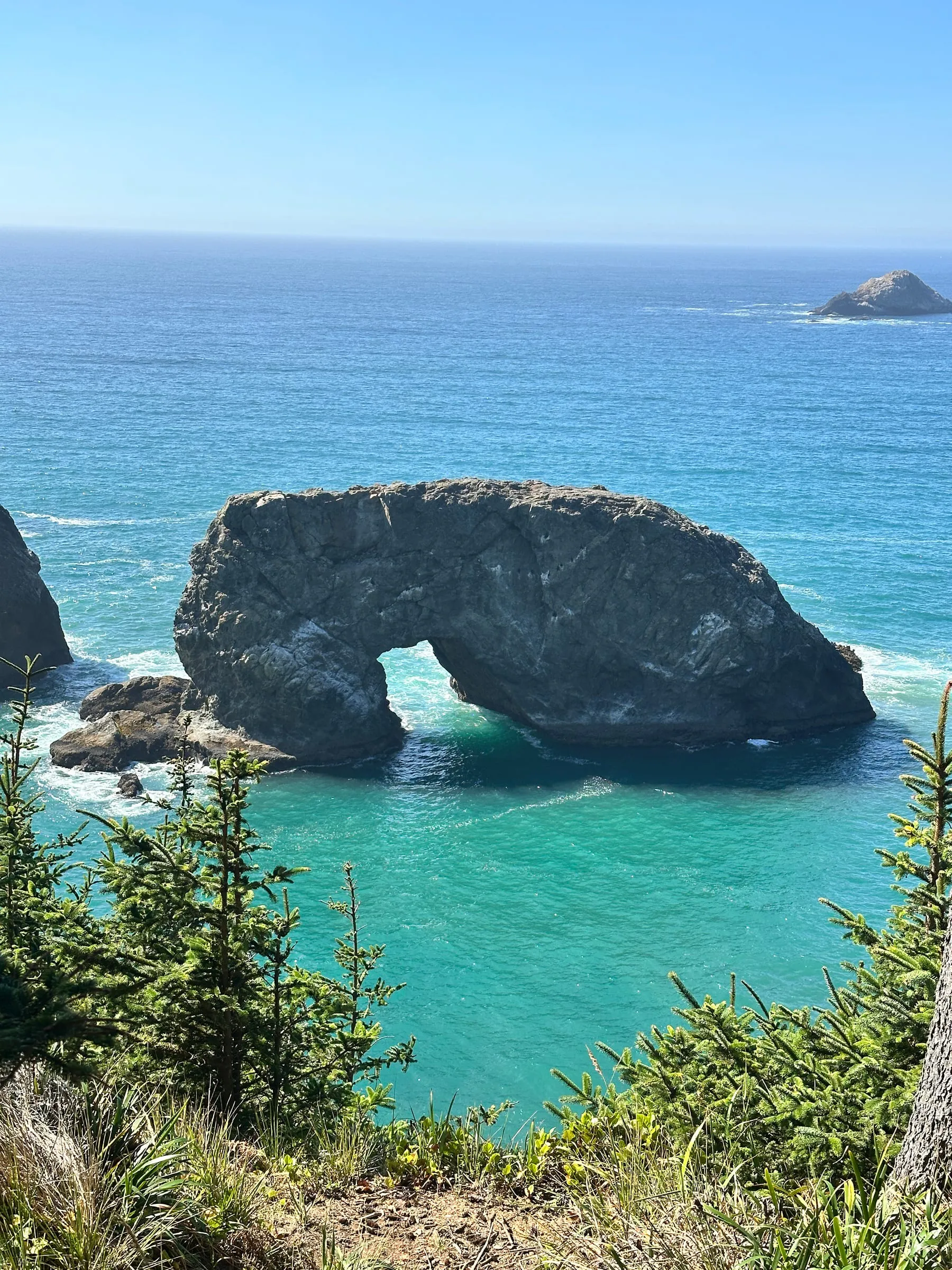 A sea arch on the southern Oregon coast