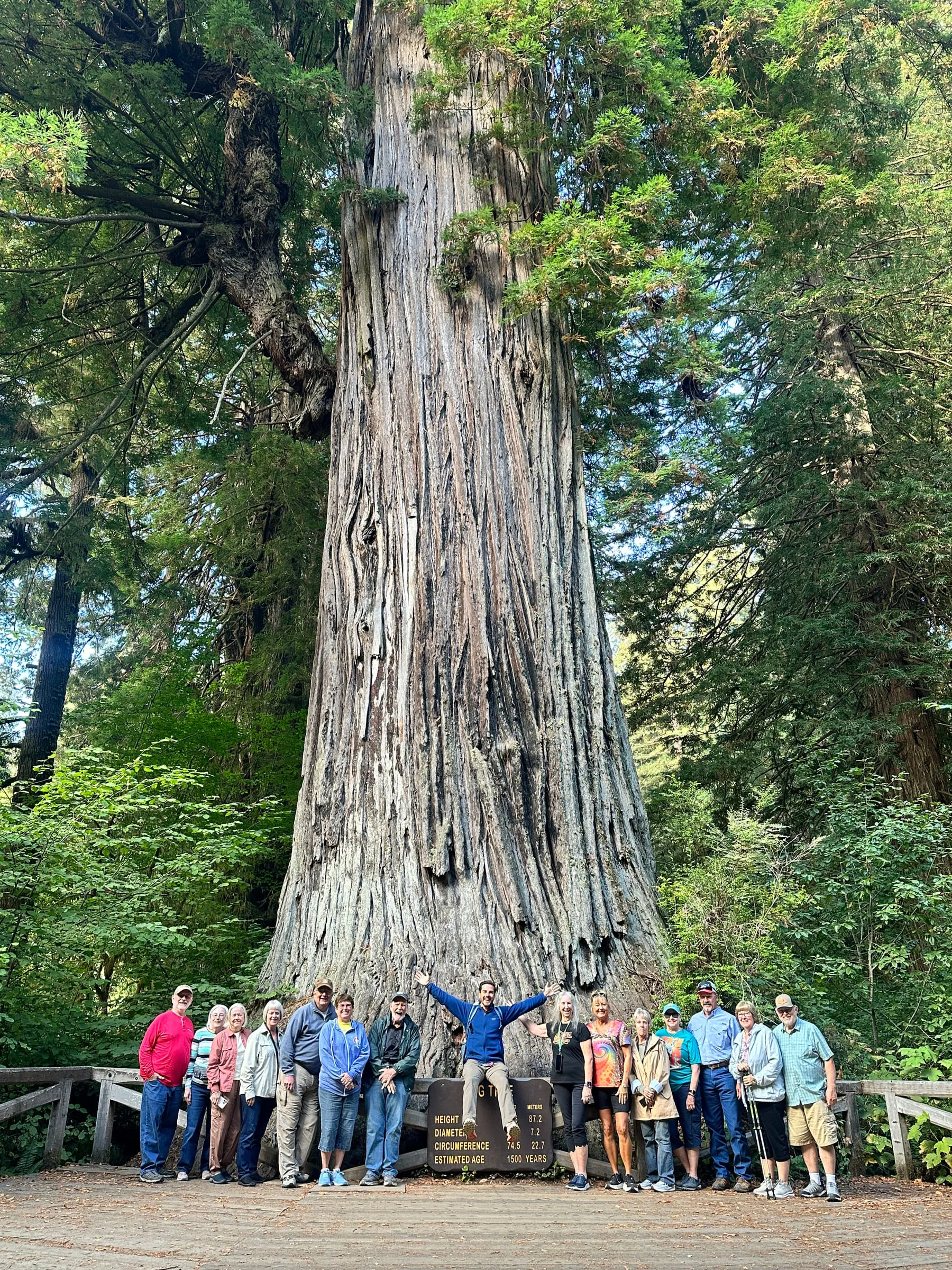 A SWAT group at the Big Tree in the redwoods